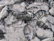A pile of fresh fish lies on a bed of crushed ice. The fish appear to be neatly arranged, showcasing their silvery scales and distinct patterns. Most of the fish are whole and display a variety of sizes.