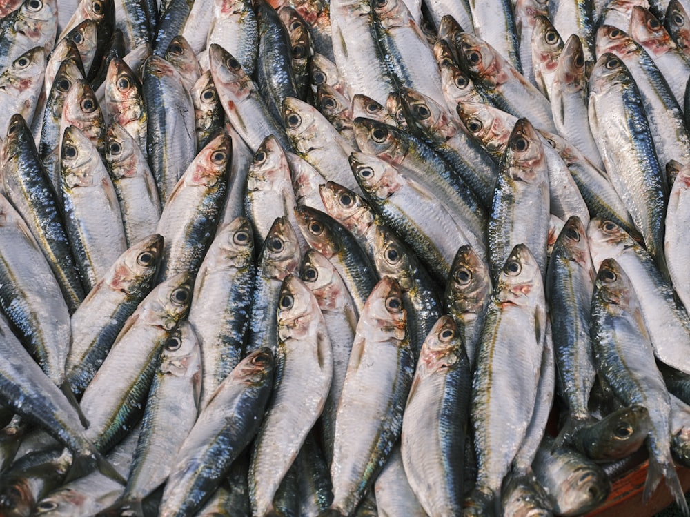 a bunch of fish that are on a table