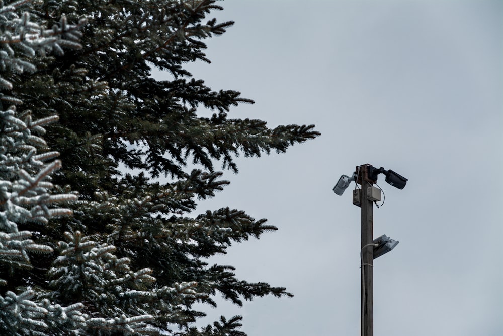 a couple of cameras sitting on top of a pole