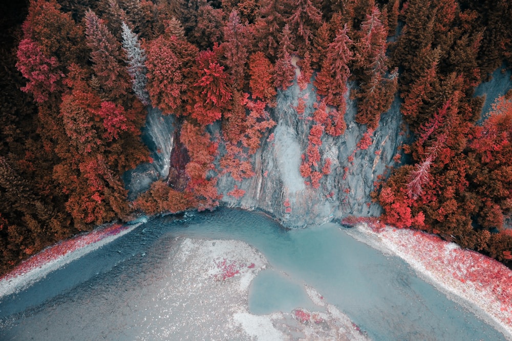 an aerial view of a pool surrounded by trees