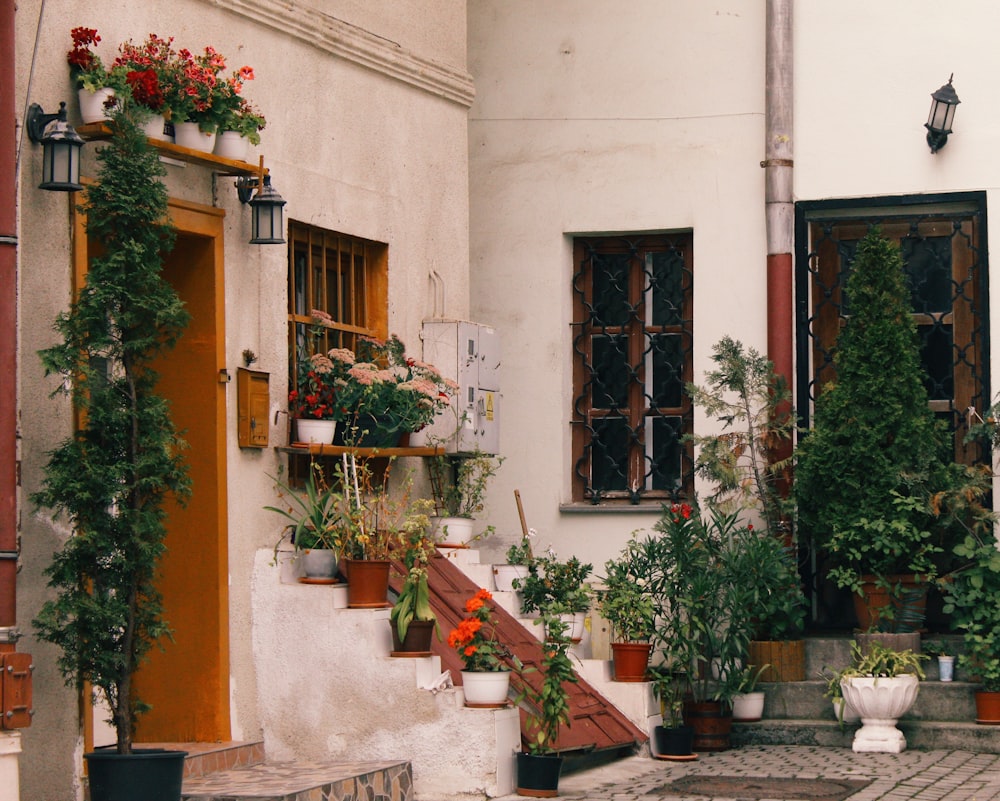 a building with potted plants on the outside of it