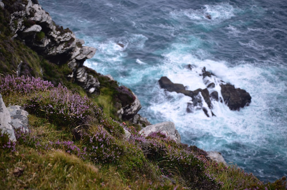 a rocky cliff overlooks a body of water