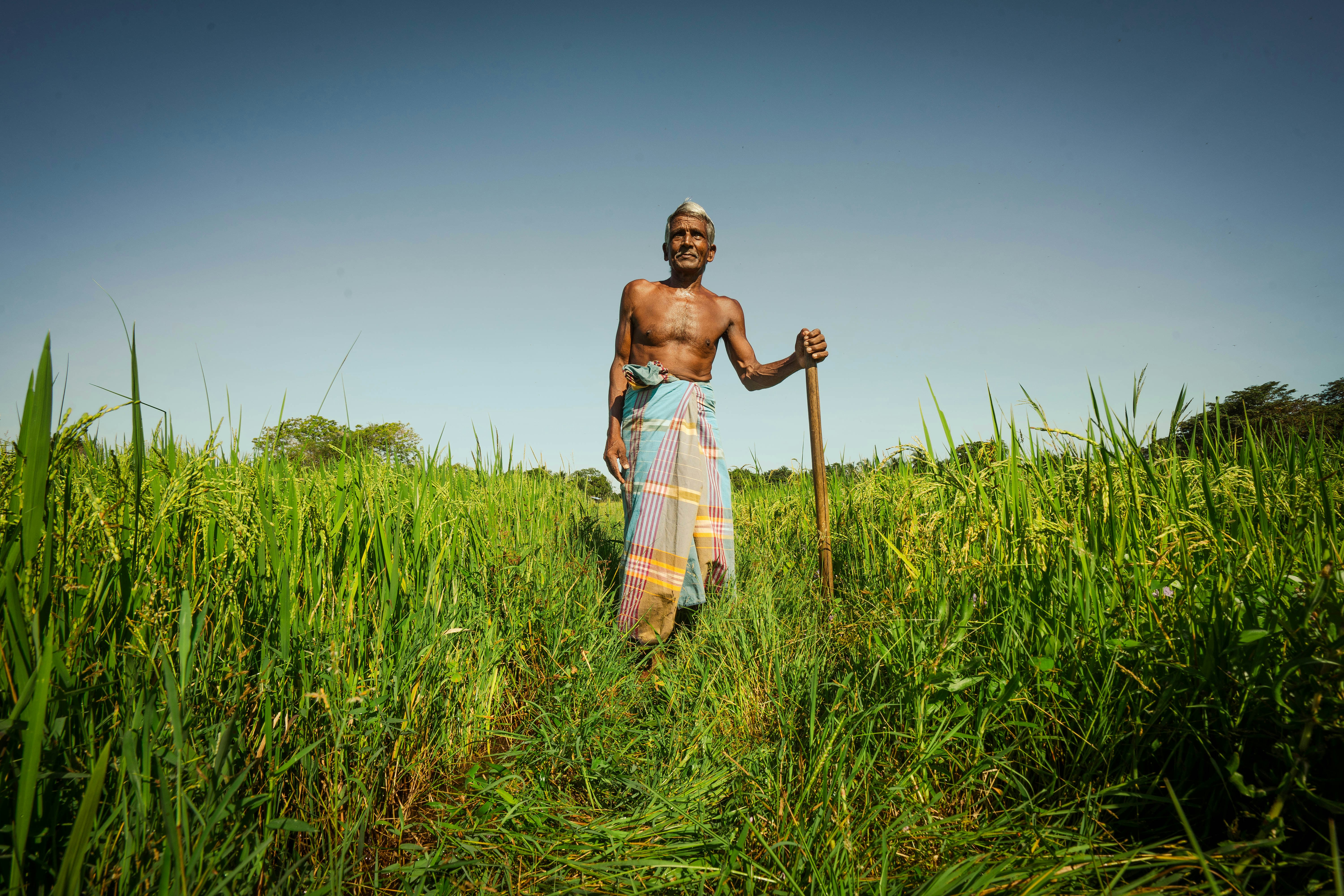 a man standing in a field holding a stick