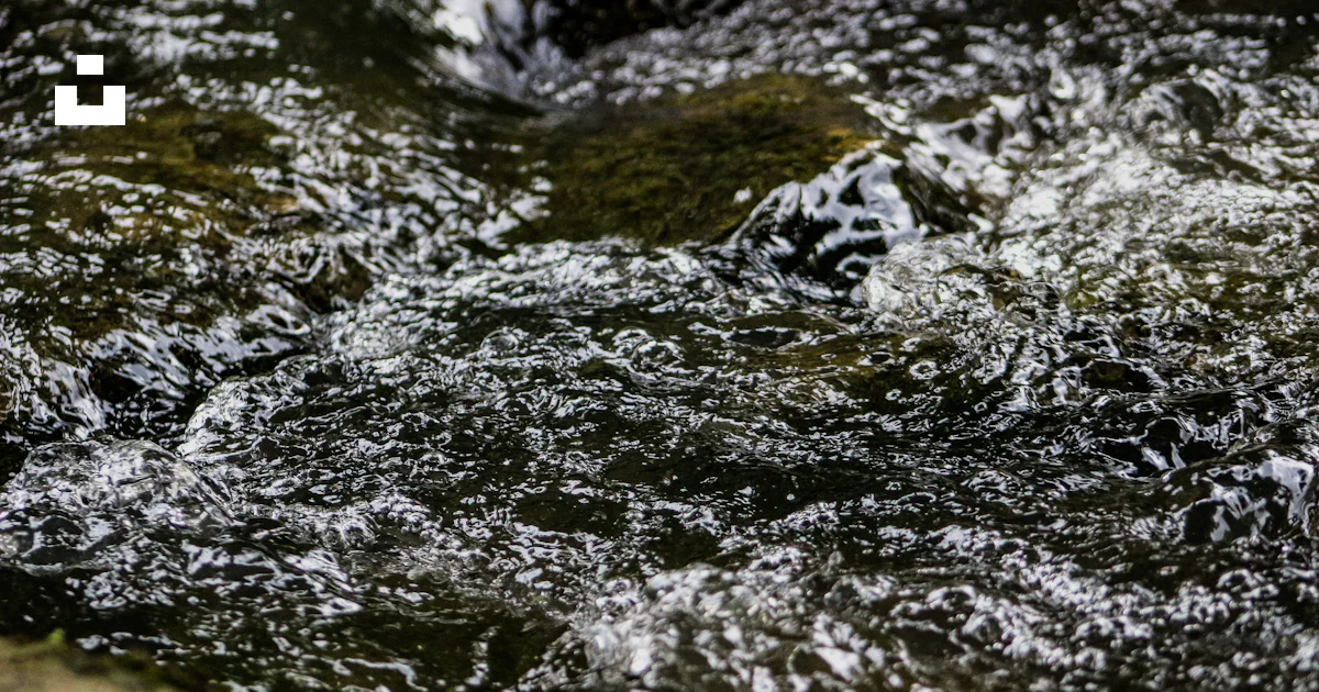 Close Up Stream A close up of a stream of water photo – Free France Image on Unsplash