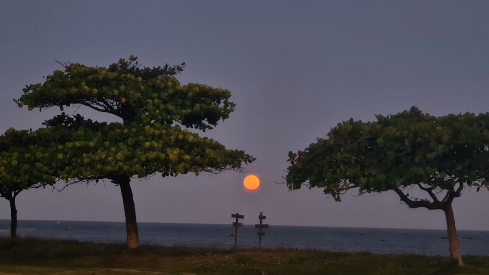 the sun is setting behind some trees by the water