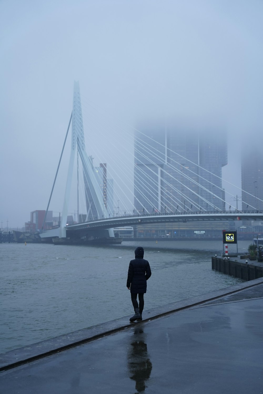 a person walking on a sidewalk next to a body of water