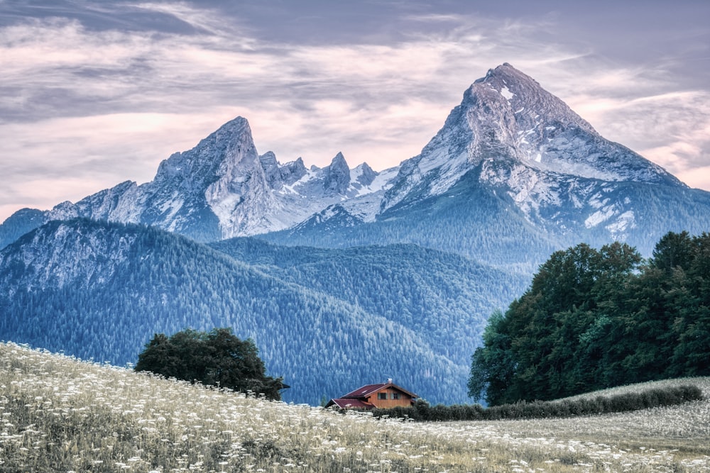 a house in the middle of a field with mountains in the background