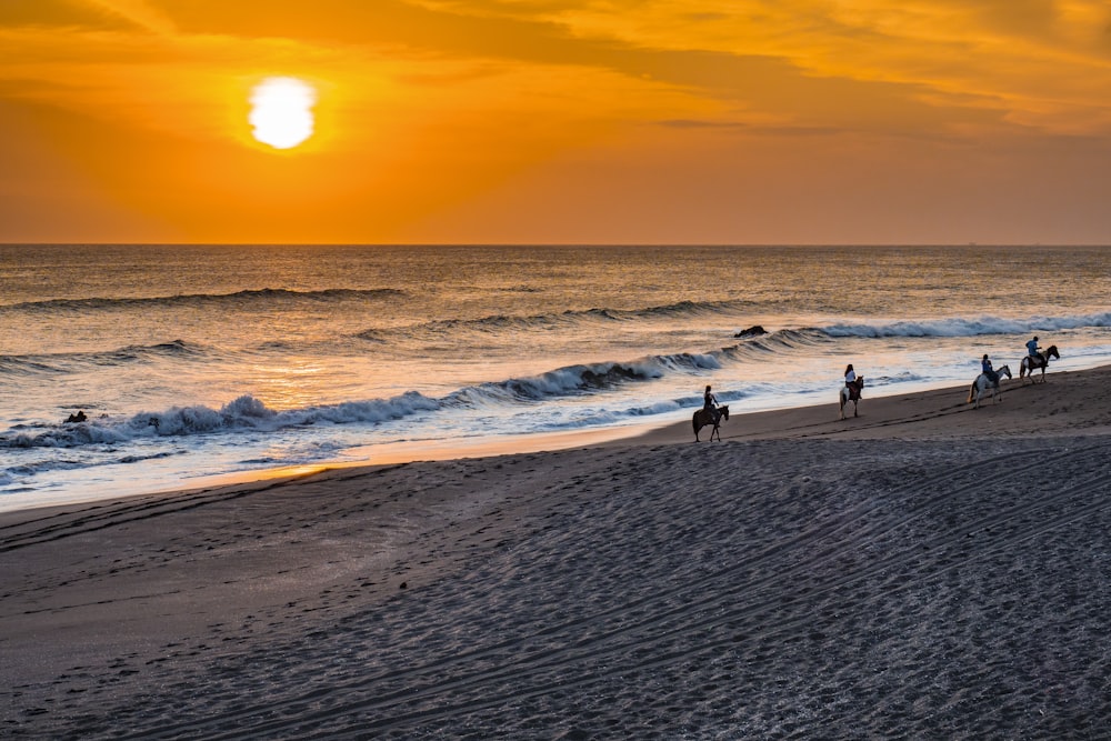 a group of people riding horses on top of a sandy beach