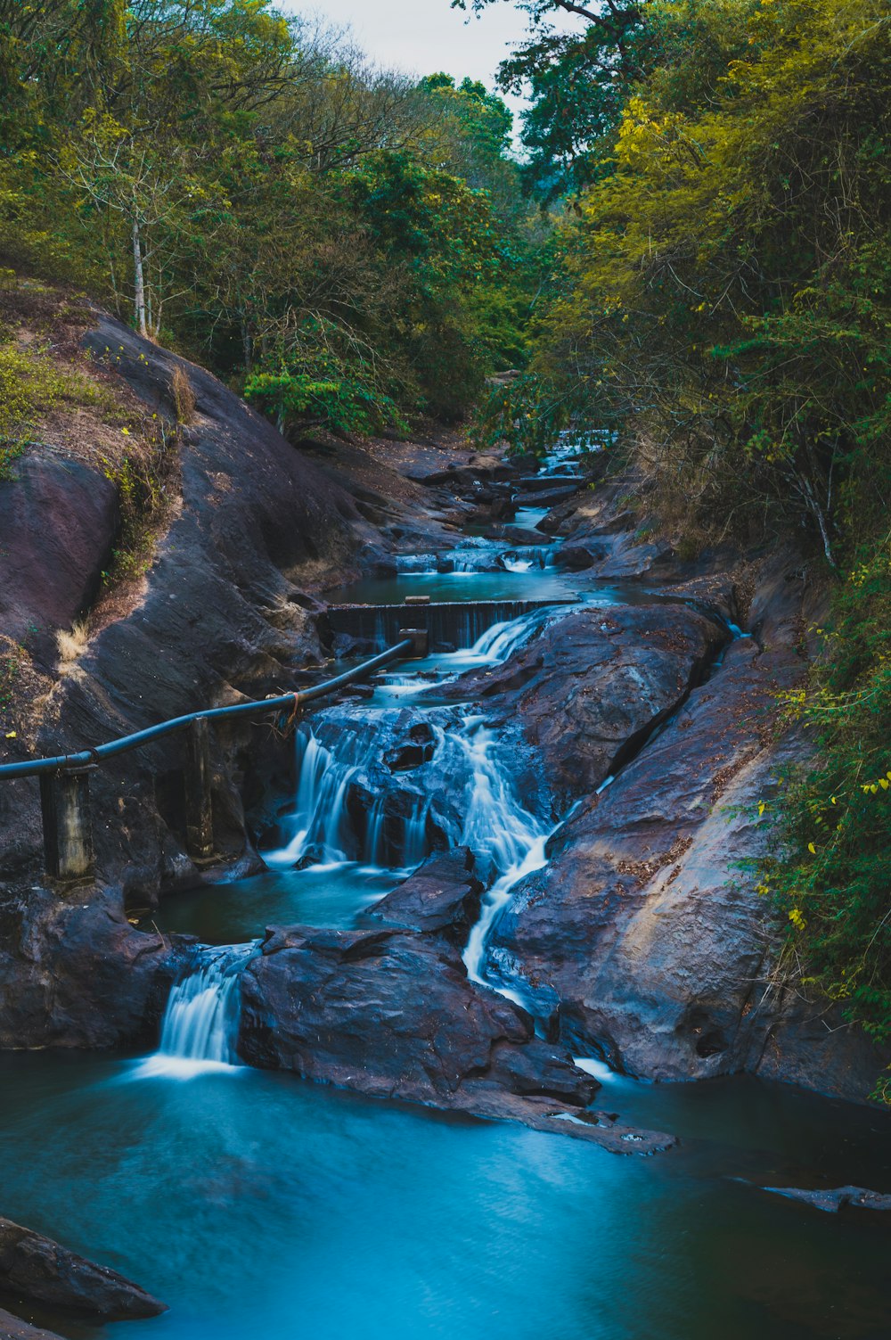 a river running through a lush green forest