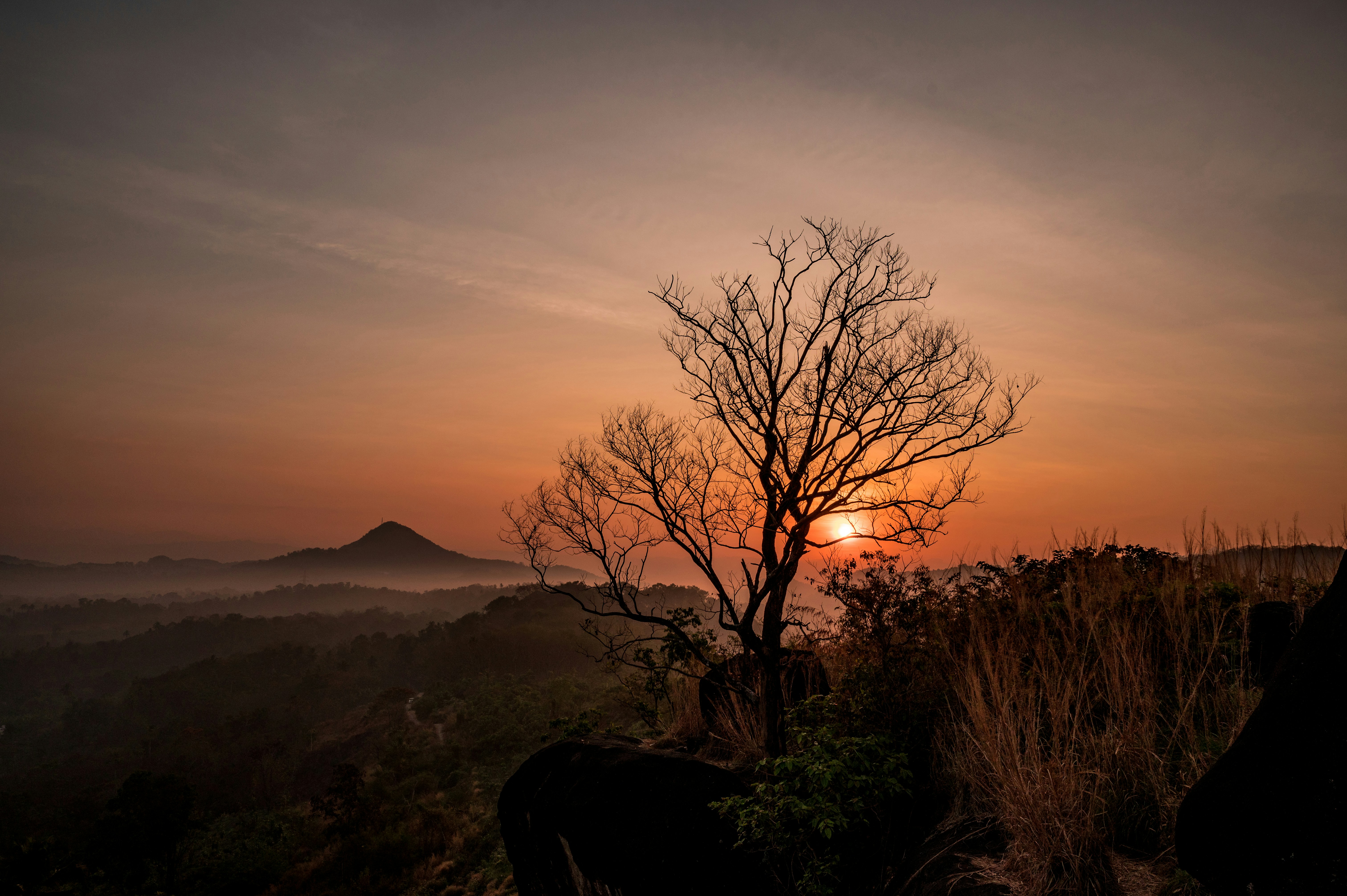 太陽が前景に木がある山の上に沈んでいる
