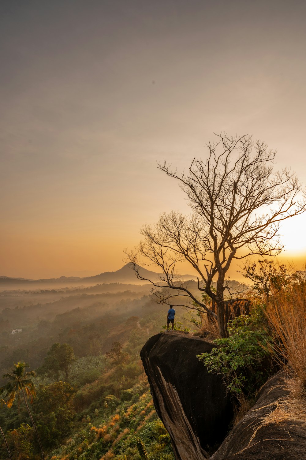 a person standing on top of a hill next to a tree