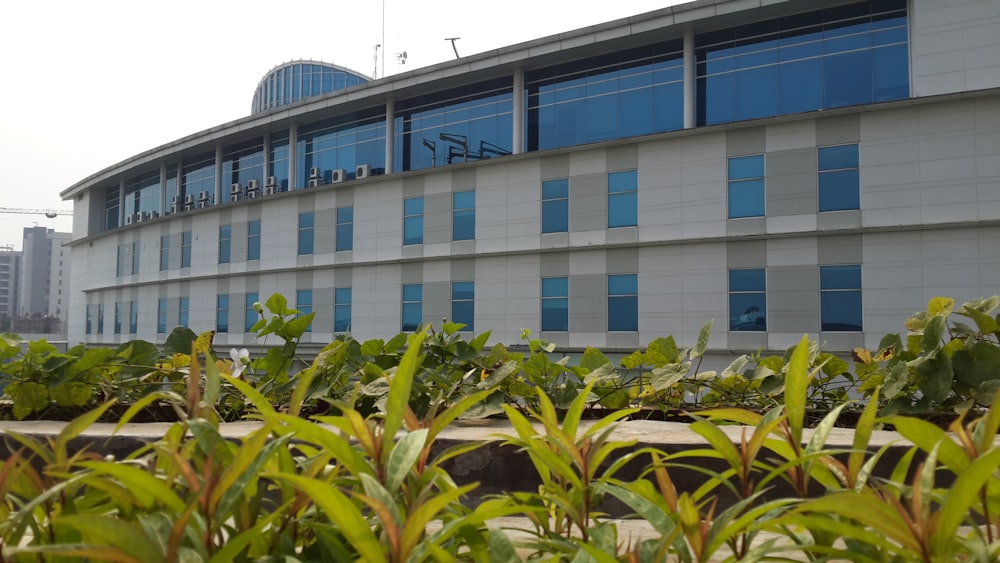 a building with a lot of plants in front of it