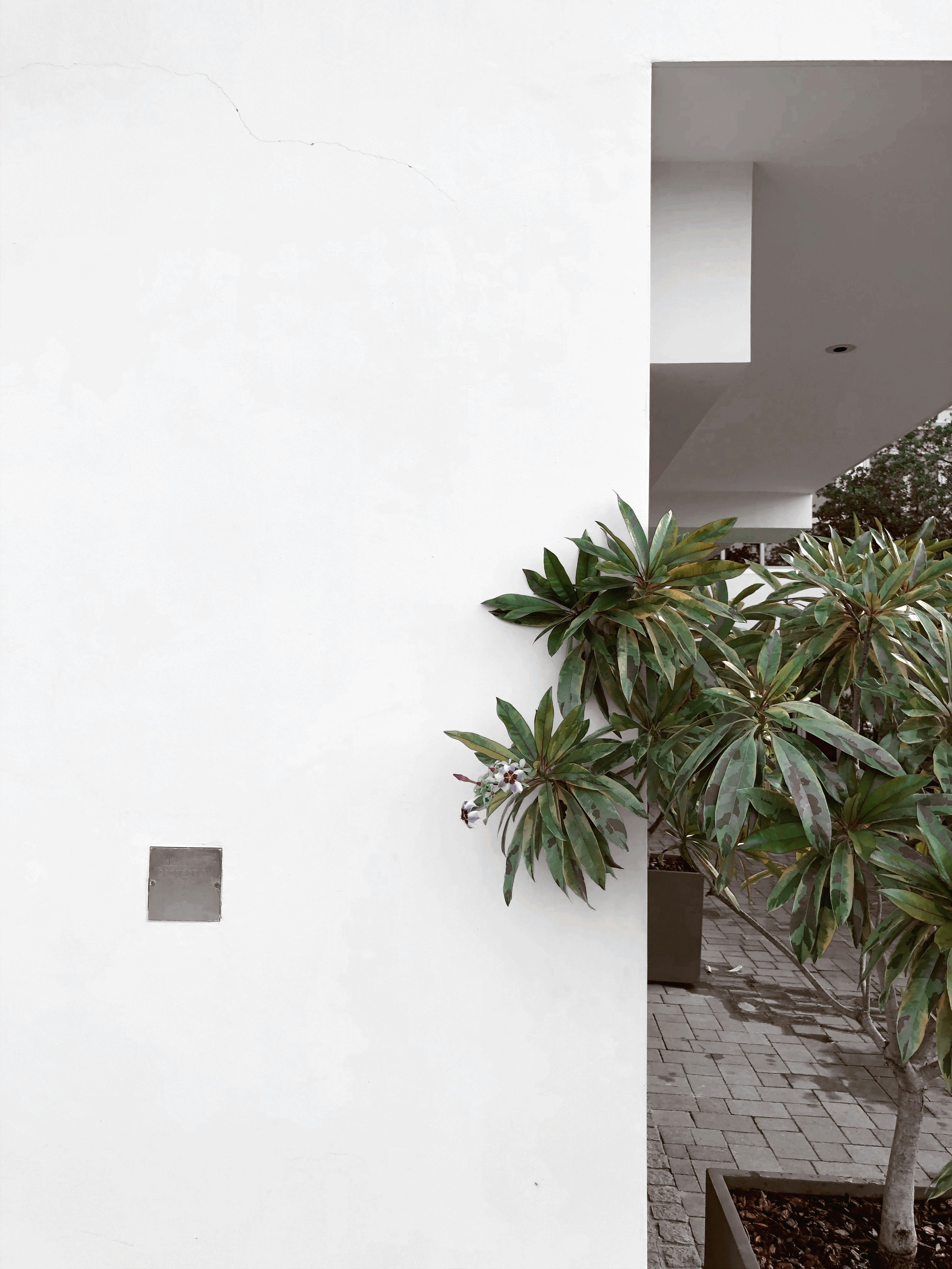 Photo by darylbydesign