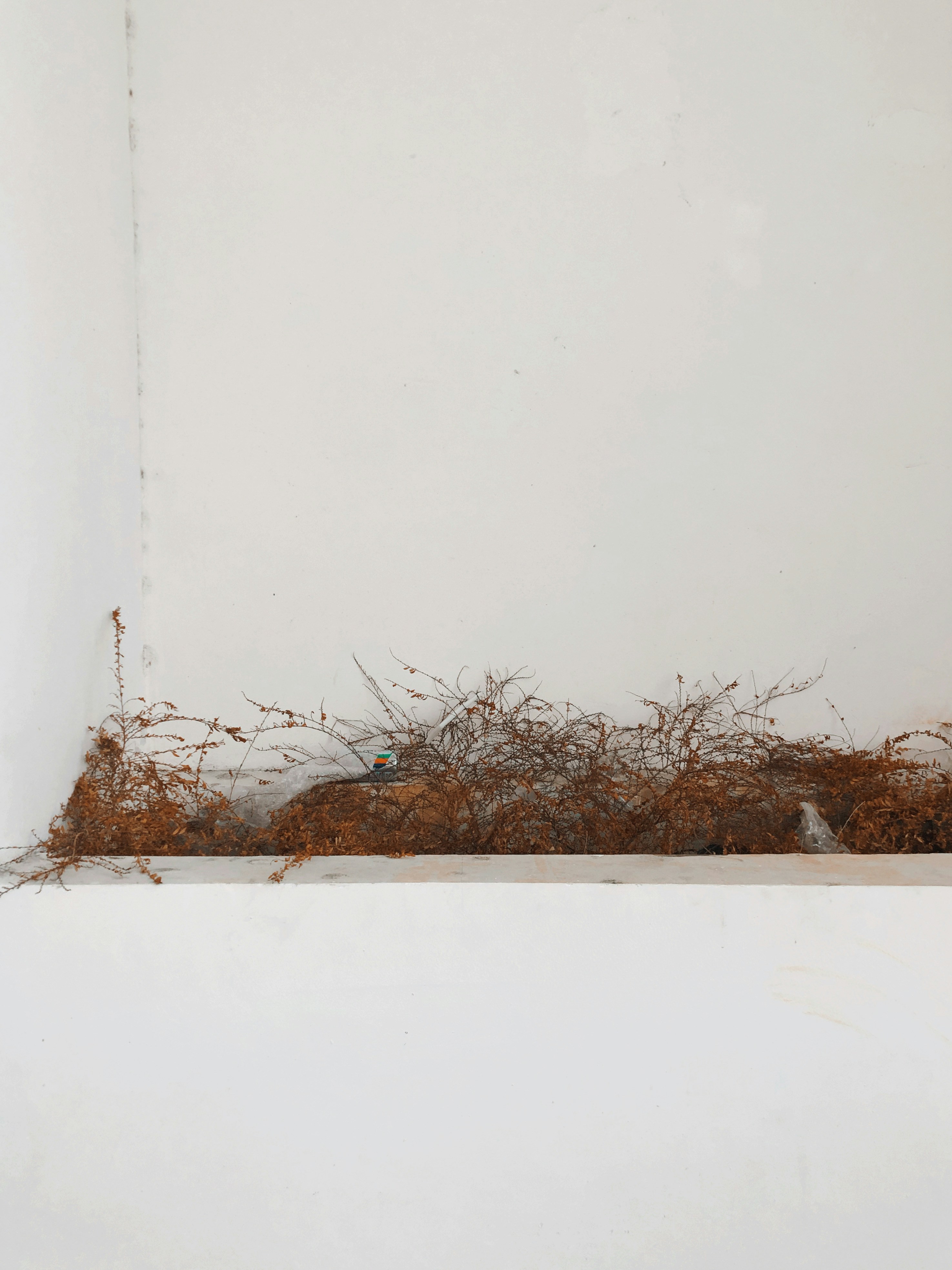 Photo by darylbydesign