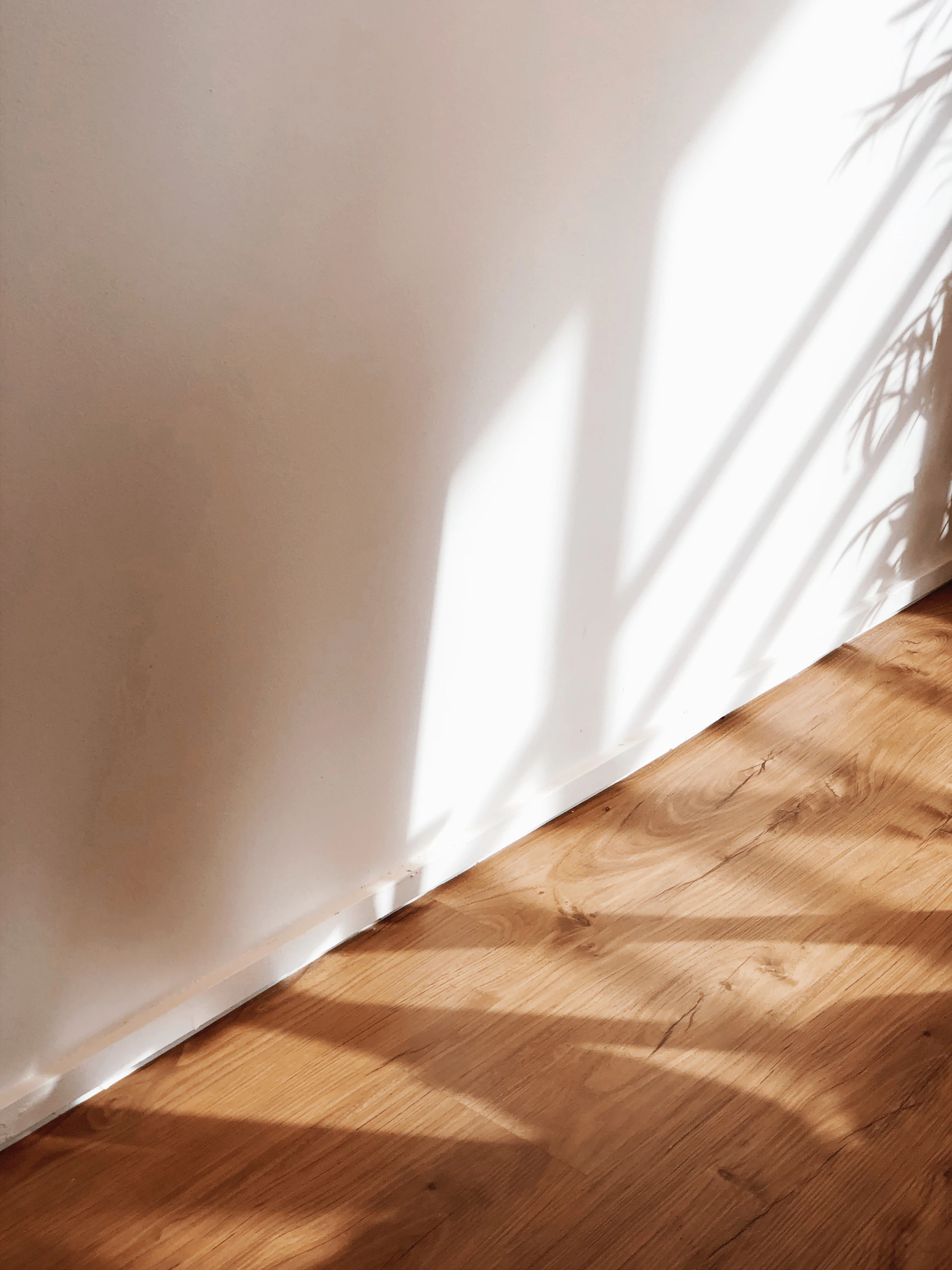 a cat is sitting on the floor next to a wall