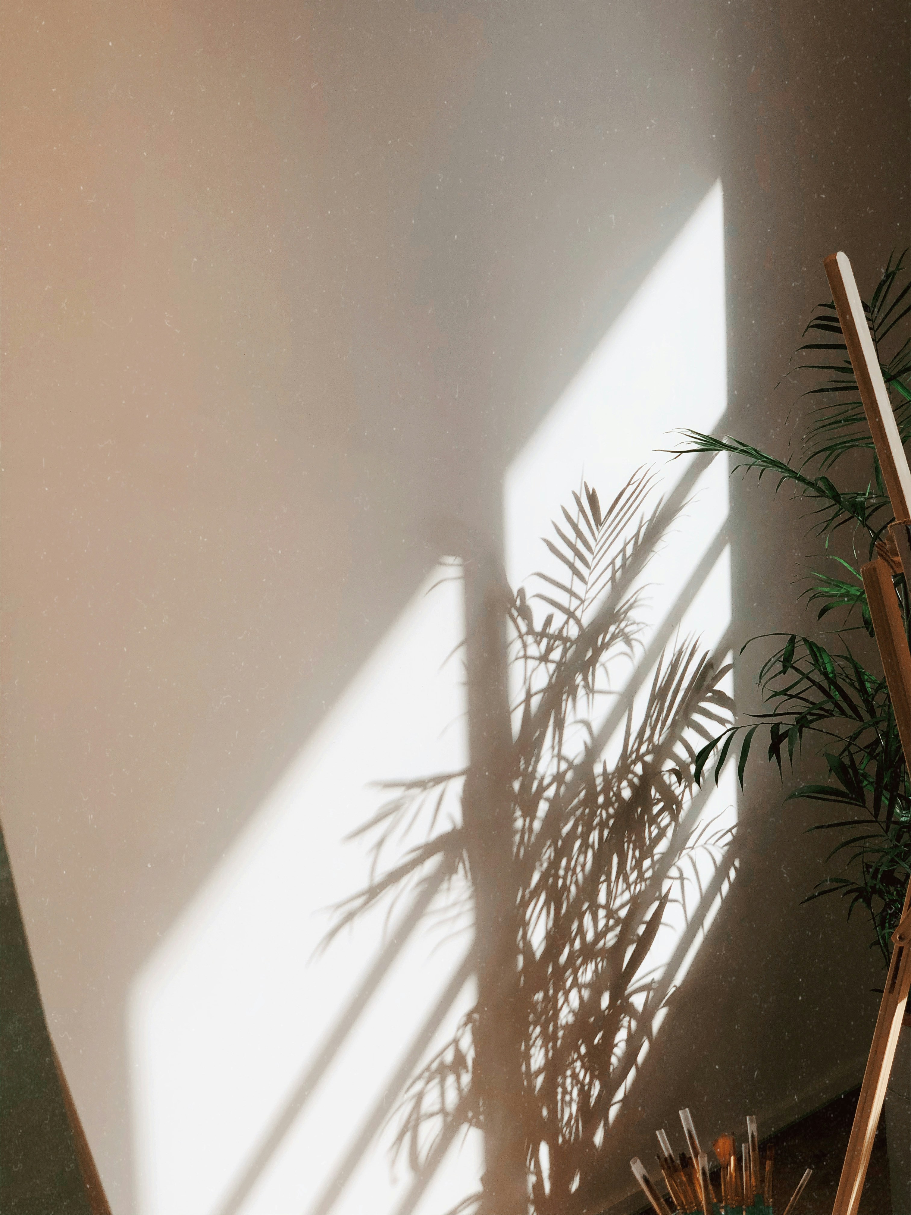 Photo by darylbydesign