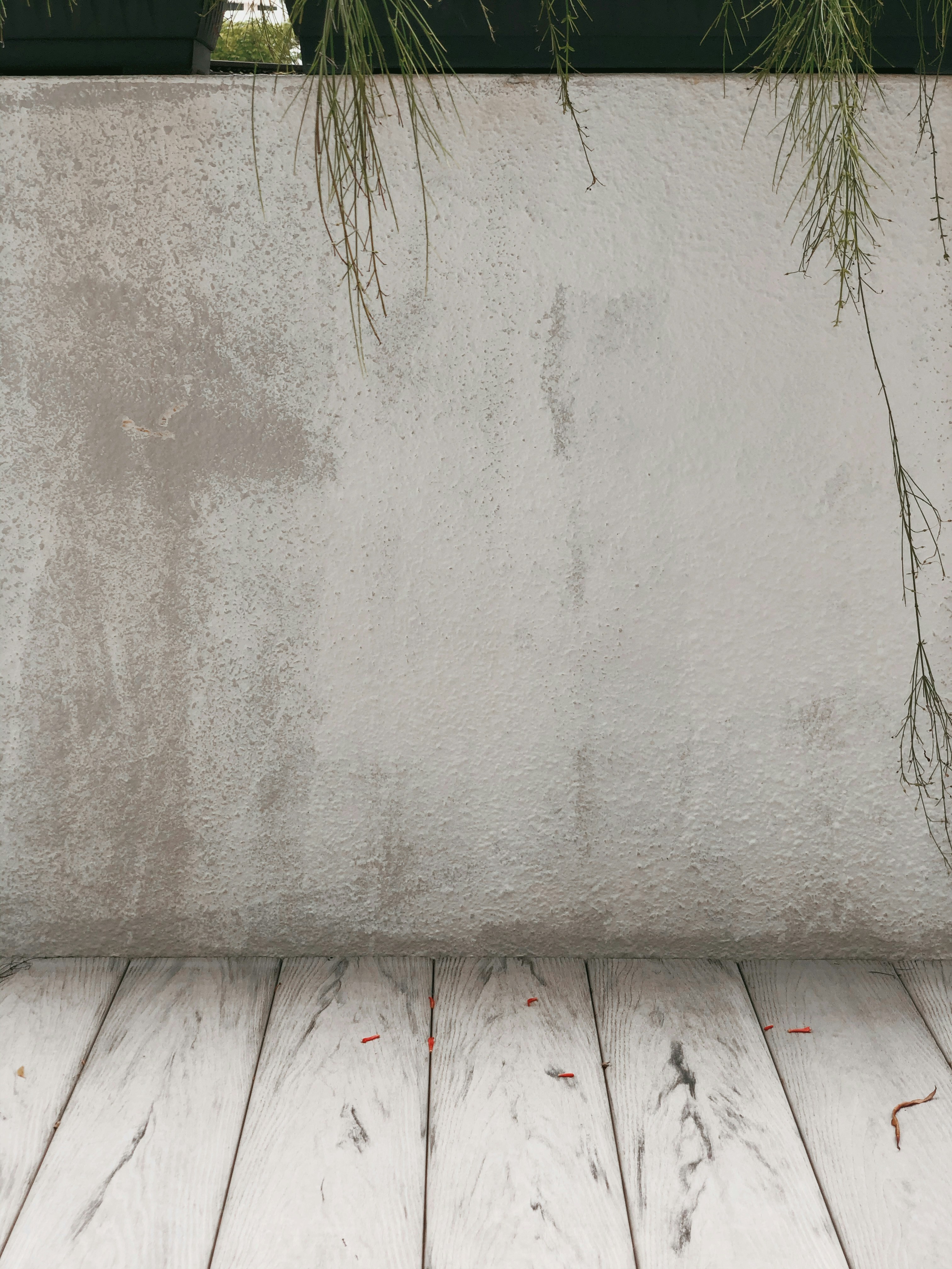 Photo by darylbydesign