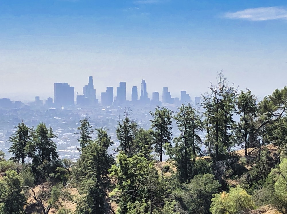 a view of a city from a hill with trees