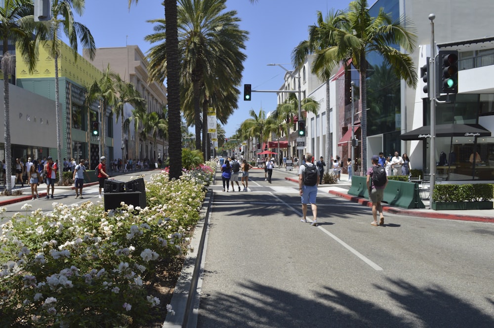 a group of people walking down a street next to palm trees