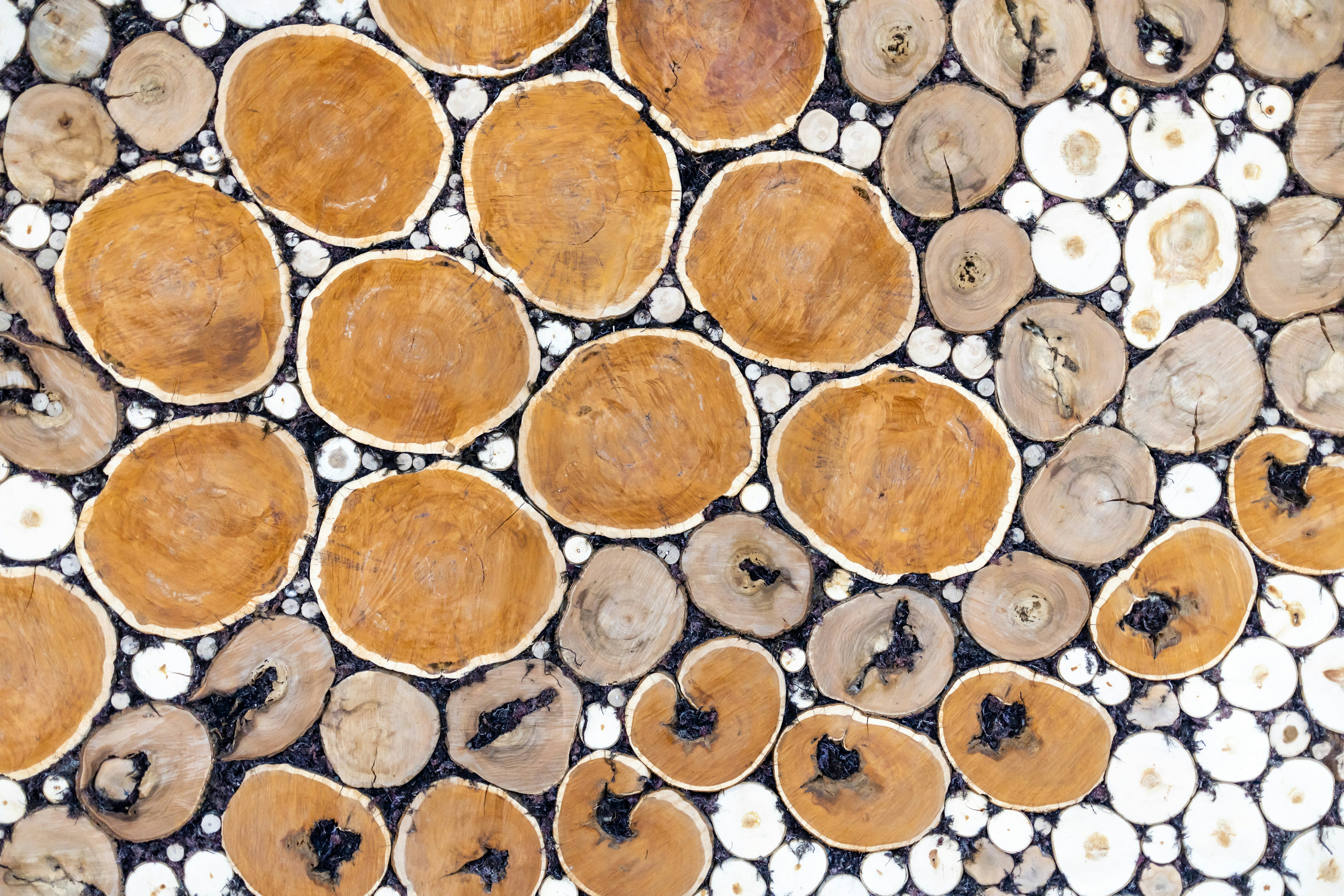 un gruppo di fette di legno sedute una sopra l'altra