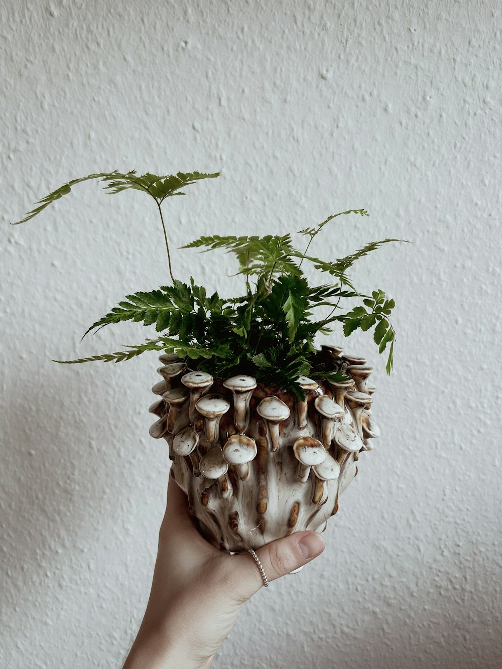 a person holding a plant in their hand