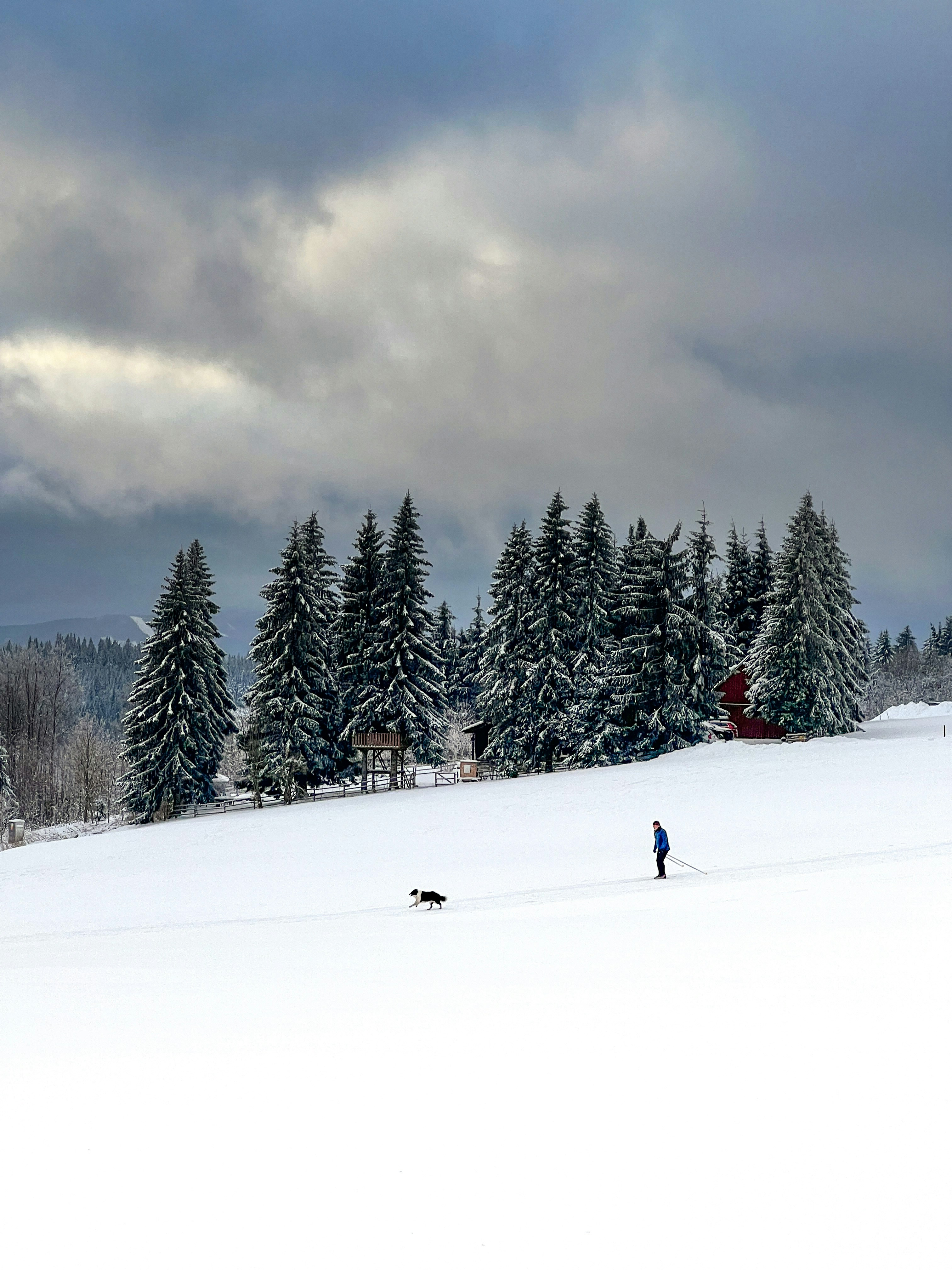 a person walking in the snow with a dog
