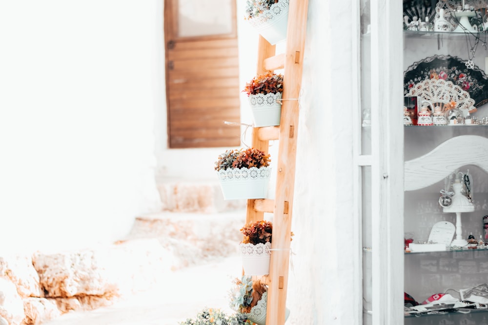 a shelf with a bunch of potted plants on it