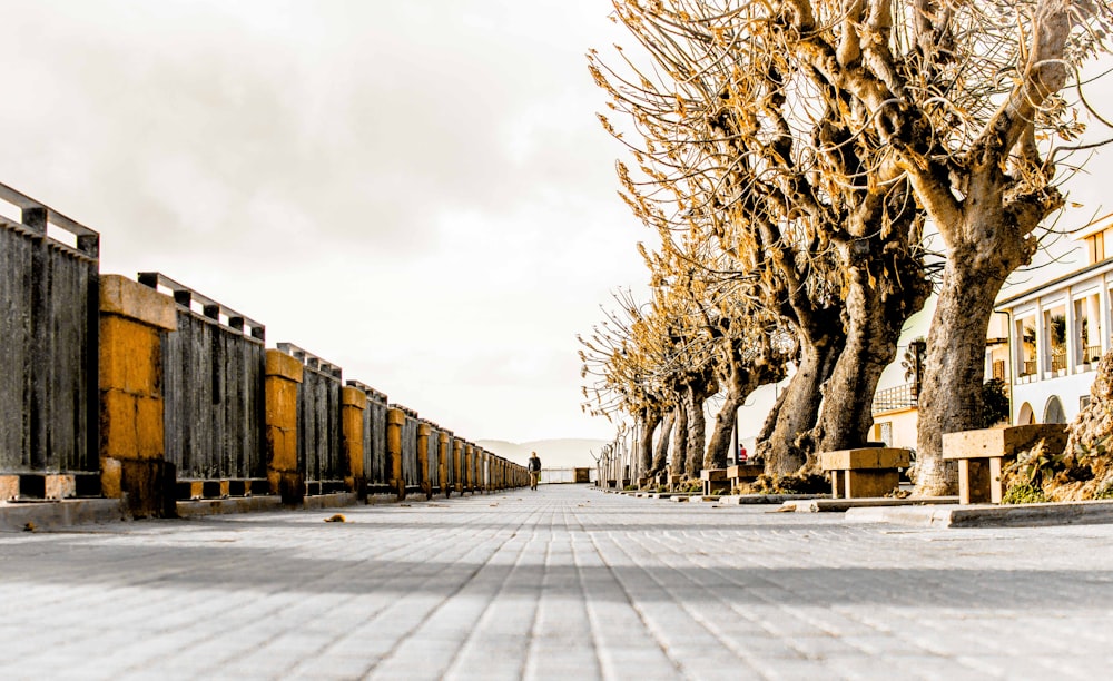a row of wooden benches sitting next to a row of trees