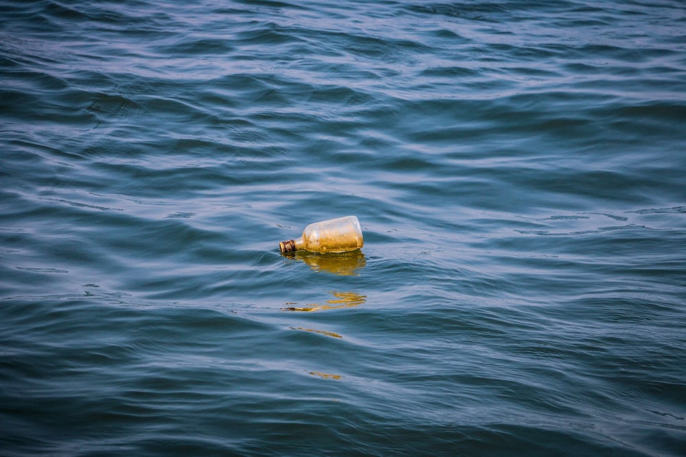 a plastic bottle floating on top of a body of water
