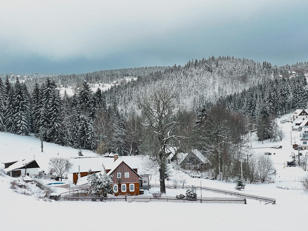 une colline enneigée avec une petite maison au premier plan