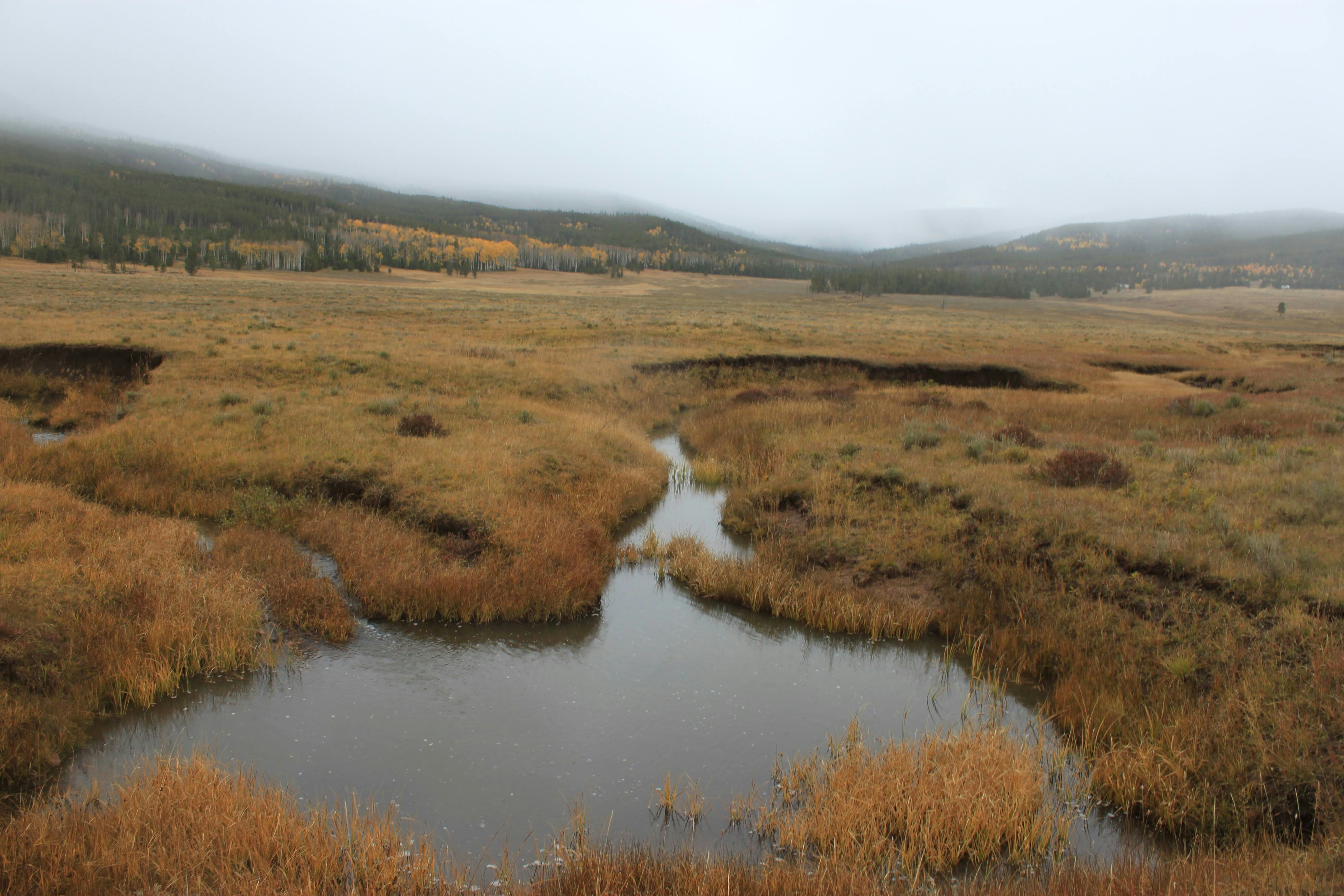 Photo by tayahcook12