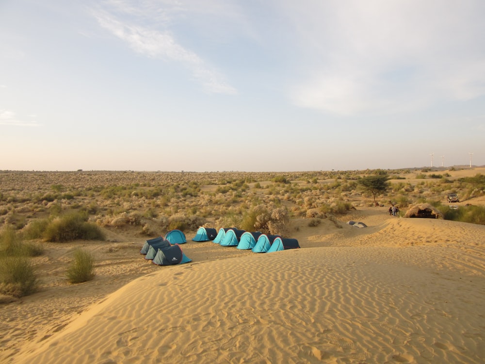 a group of blue tents sitting in the middle of a desert