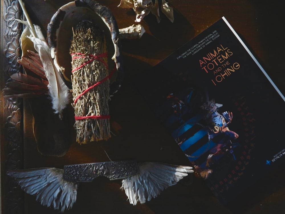 a book and some feathers on a table