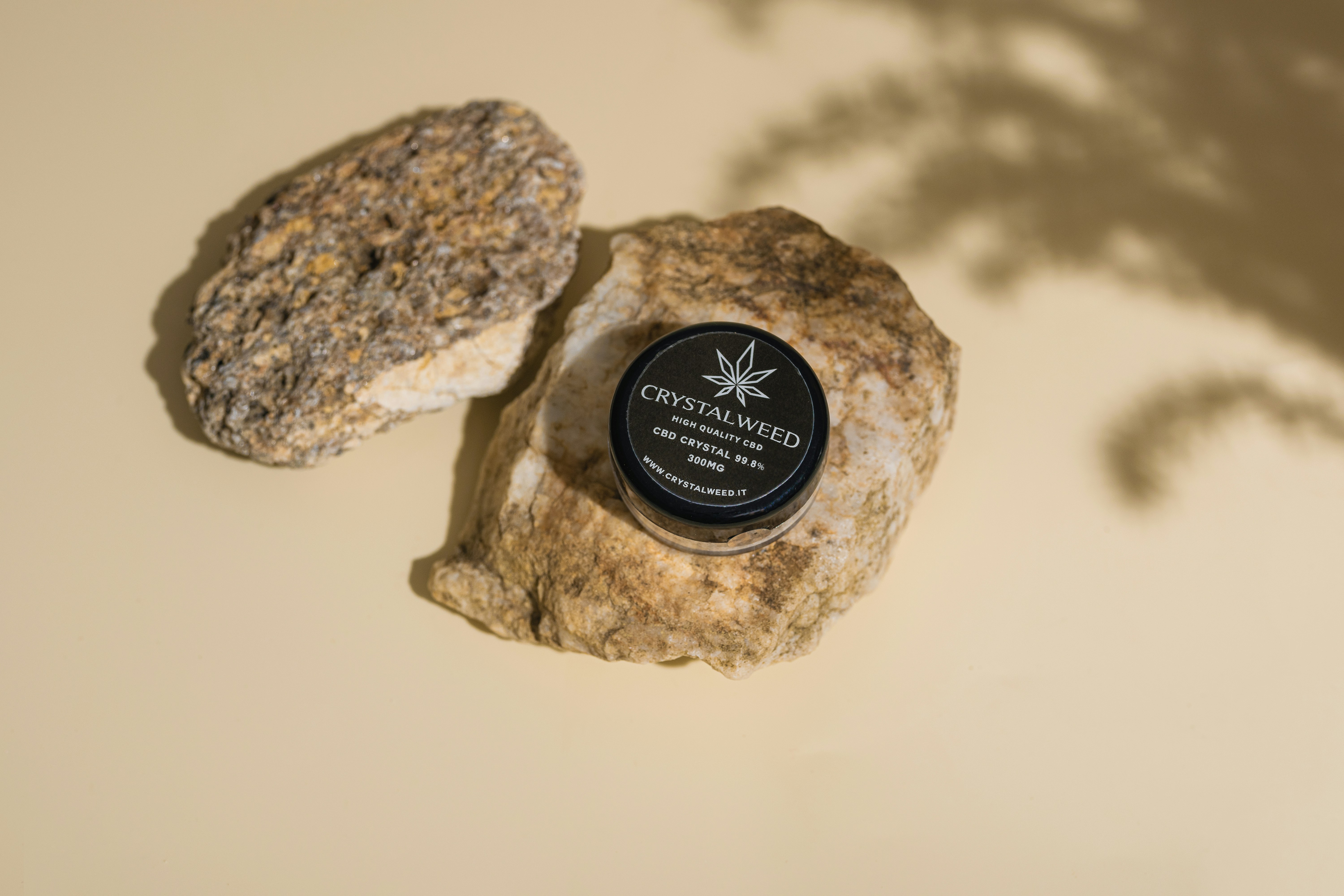 photo-1642530008436-8dbace282f49?ixid=M3wxMjA3fDB8MXxzZWFyY2h8MTE2fHxDQkR8ZW58MHx8fHwxNzU0MDU2MTgwfDA%5Cu0026ixlib=rb-4.1.0