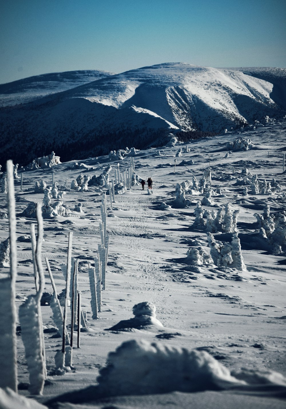 a snowy landscape with a mountain in the background