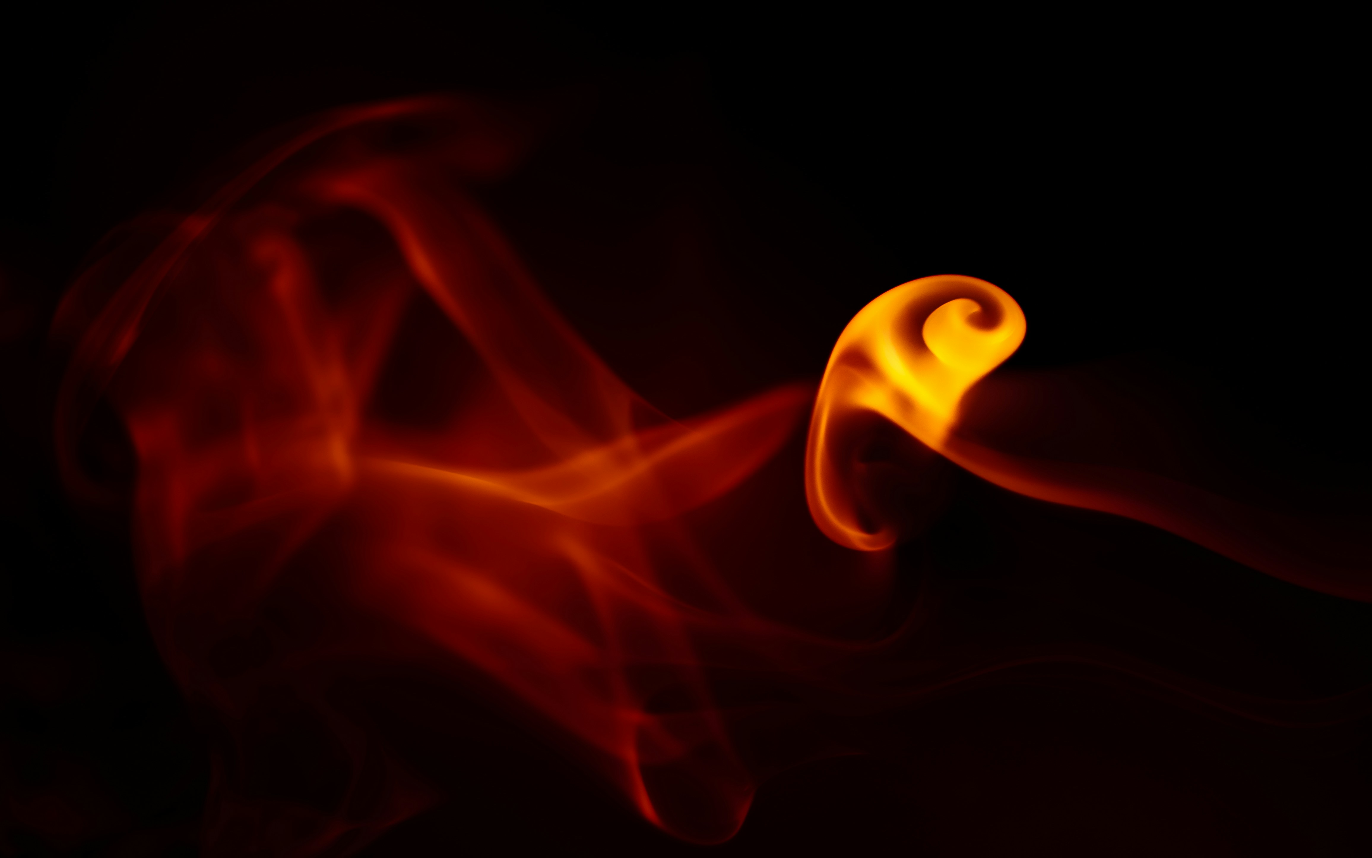 Light in the darkness. 