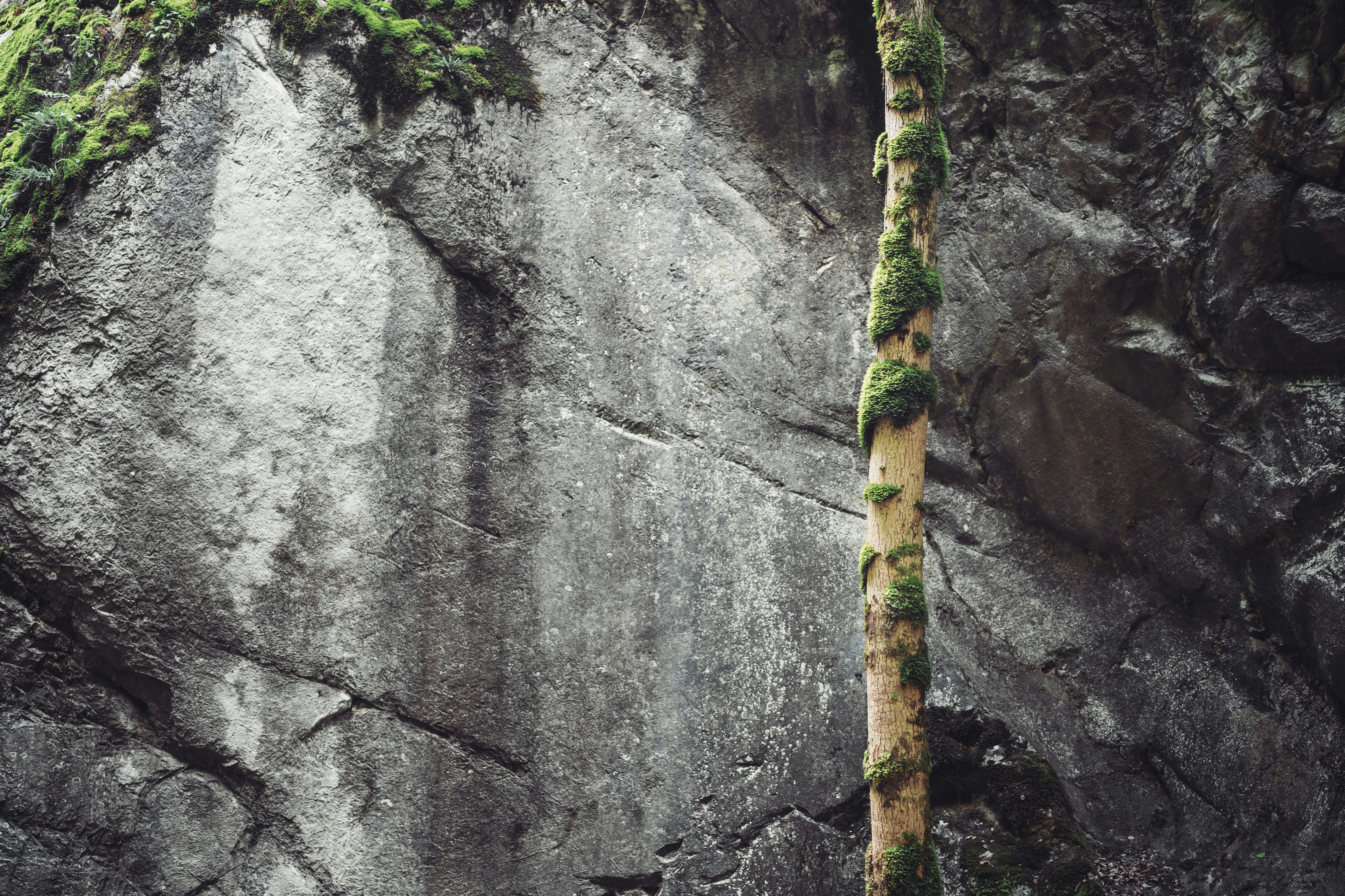 wilderness survival wallpaper, wallpaper, Wilderness Gear Repair: A Practical Guide 6