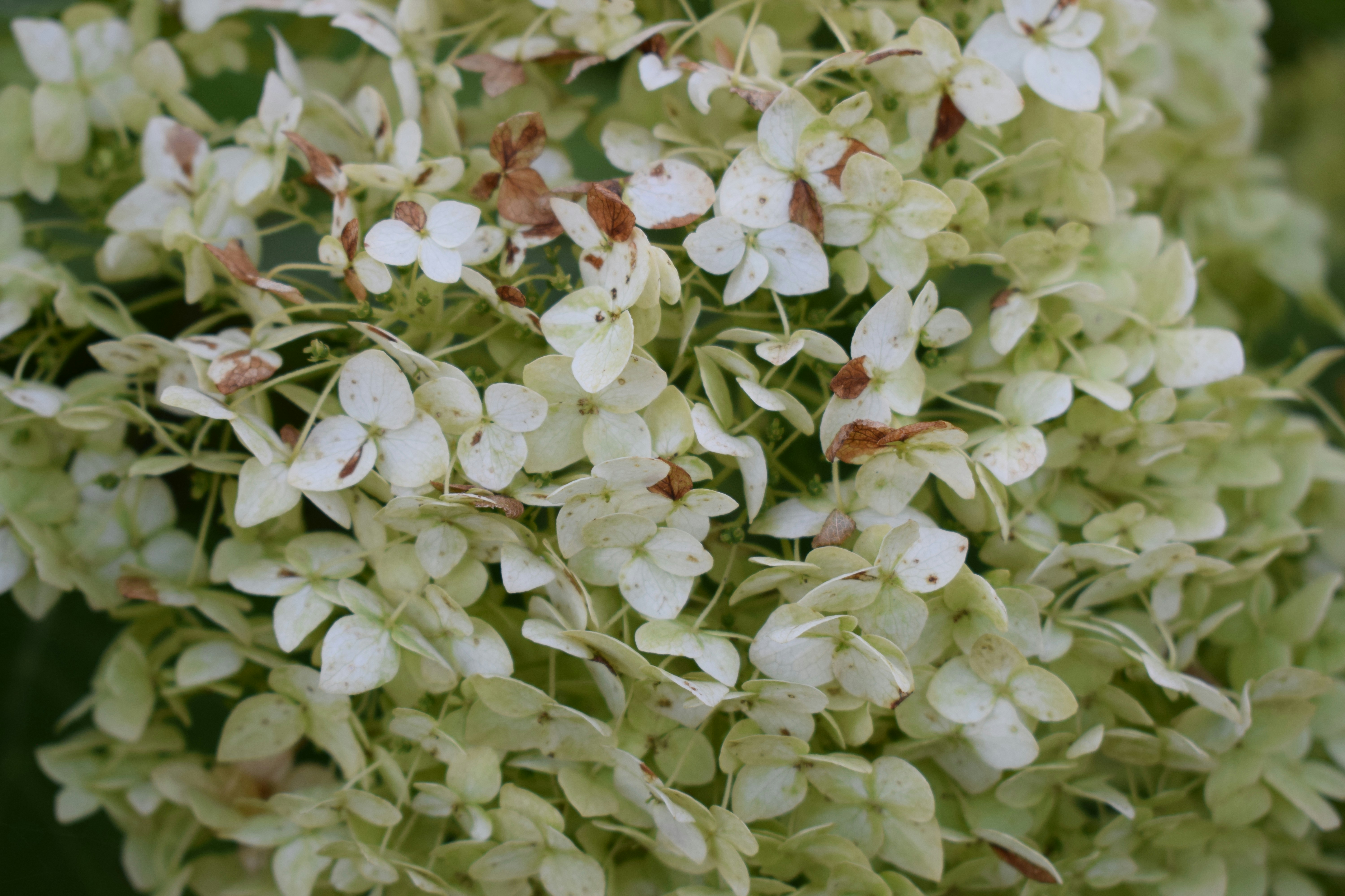 Photo by anastasiya_dal