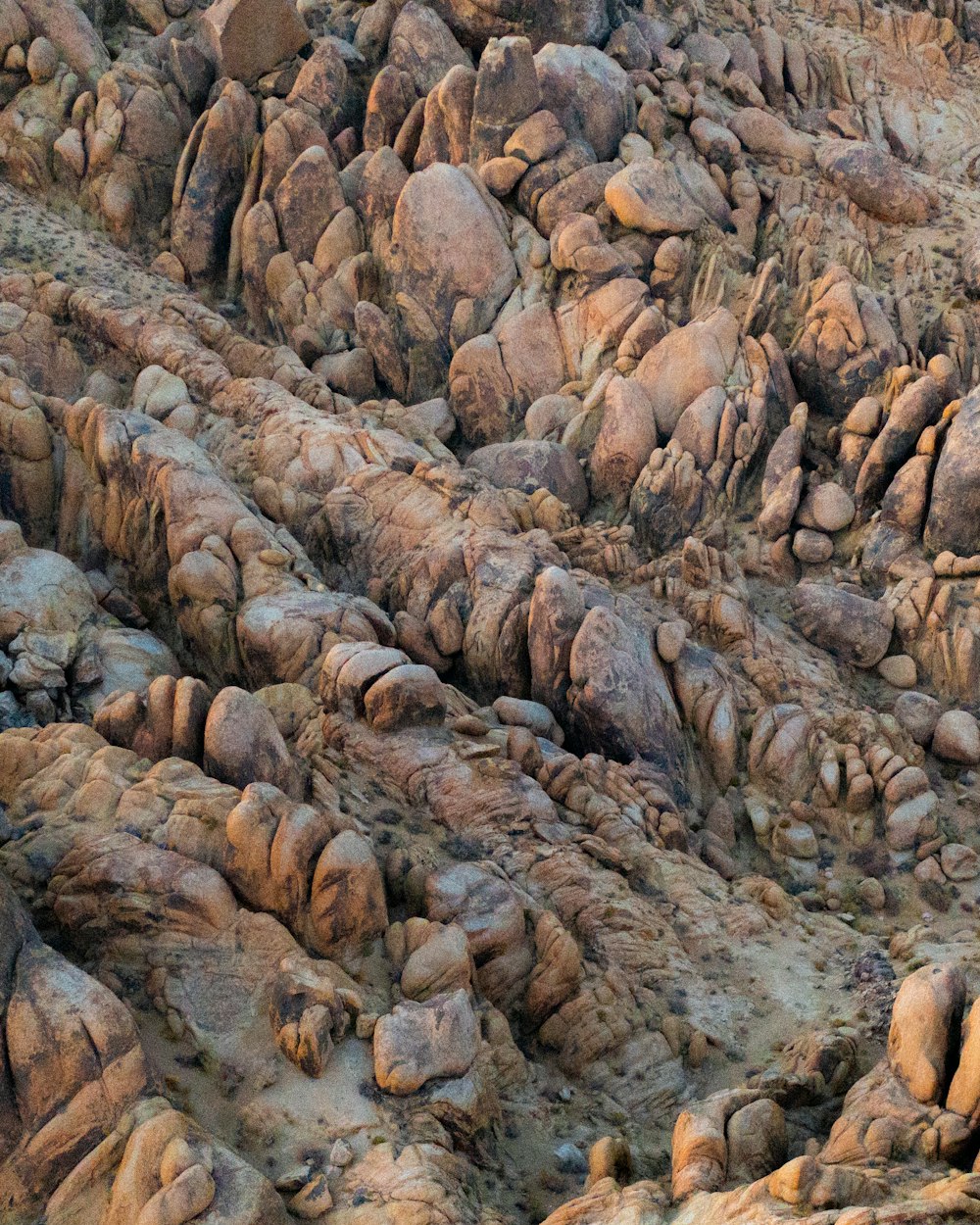 a bird is perched on a rock formation