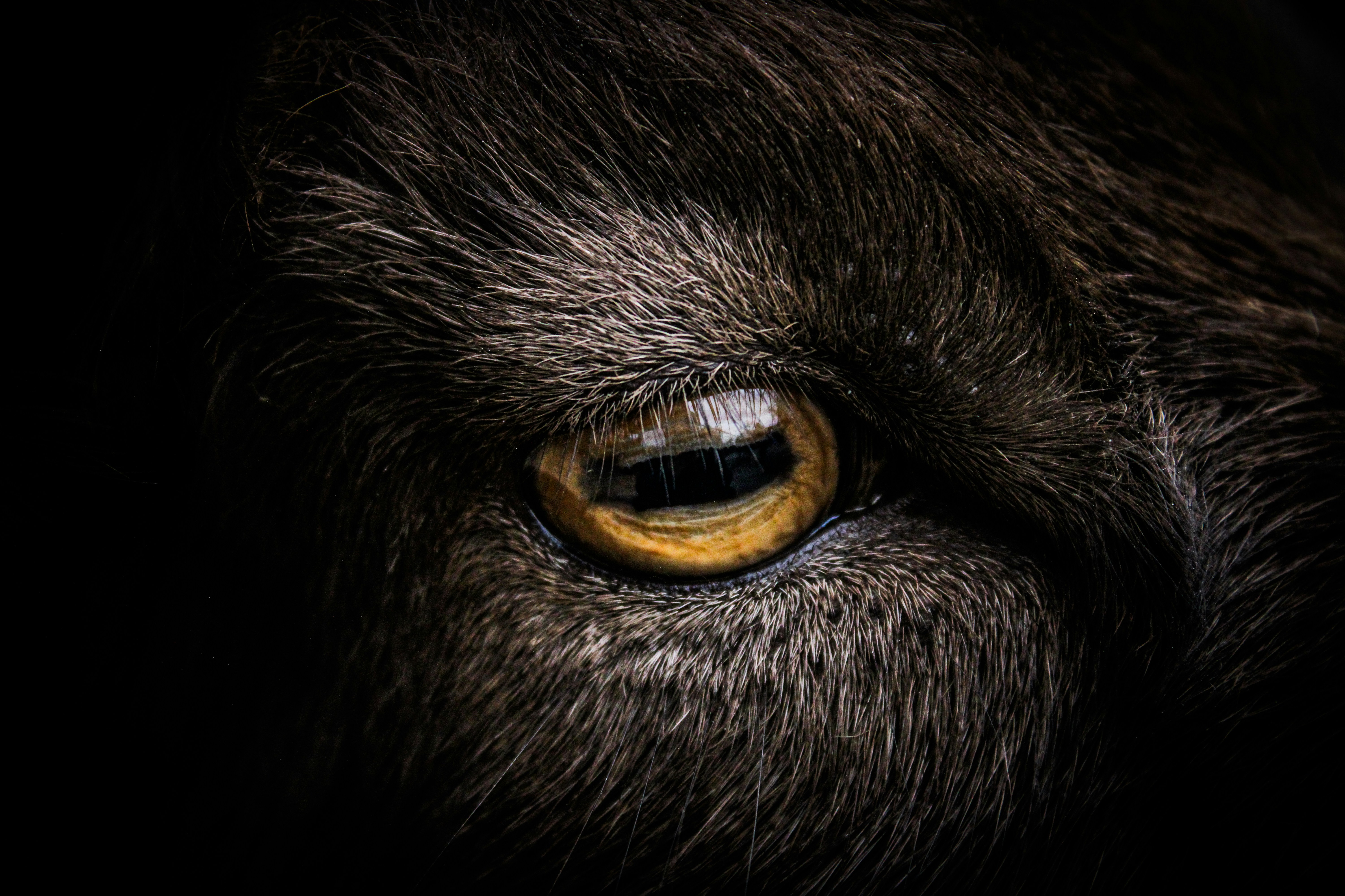 Photo by axtonjamesphotography65