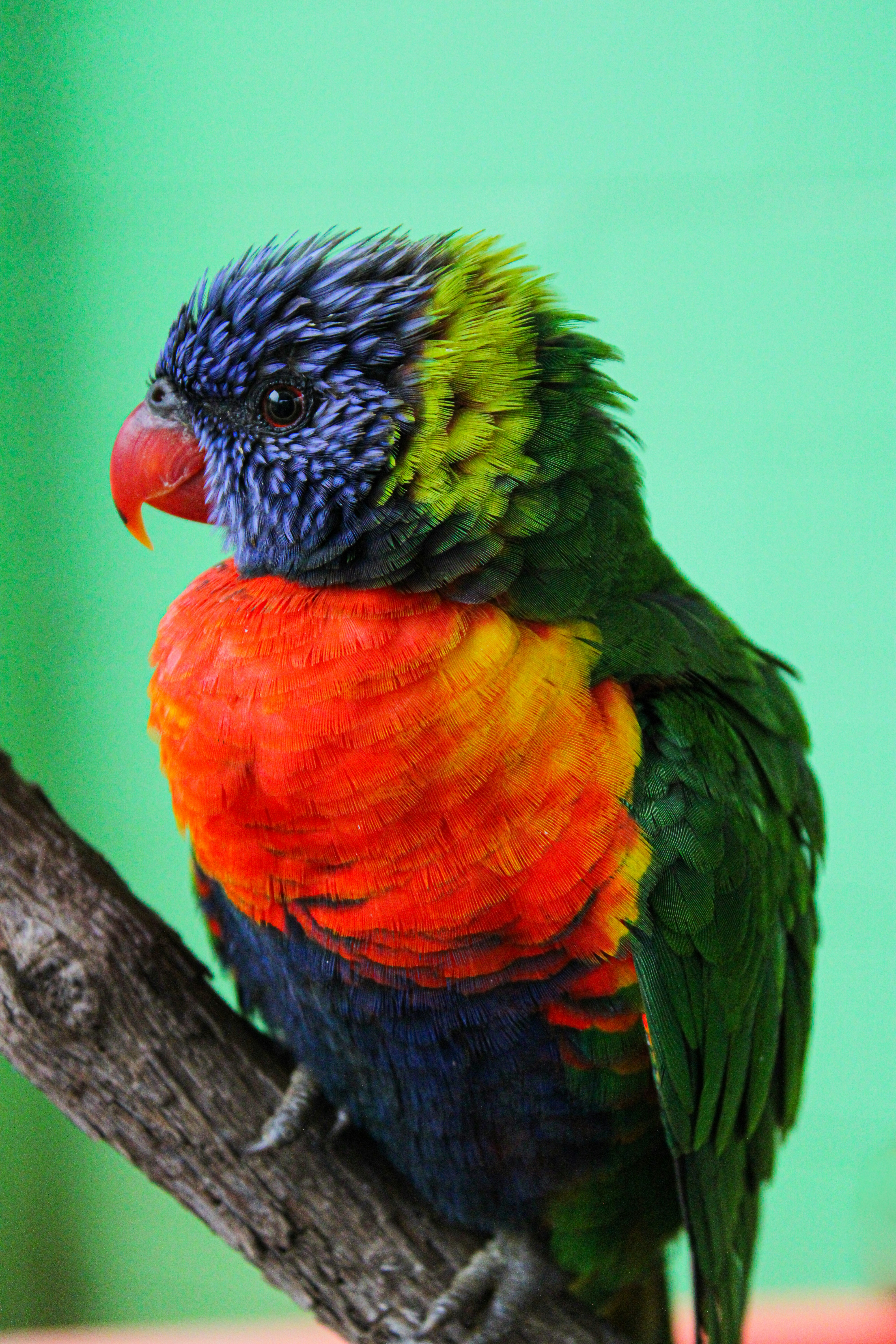 Photo by axtonjamesphotography65