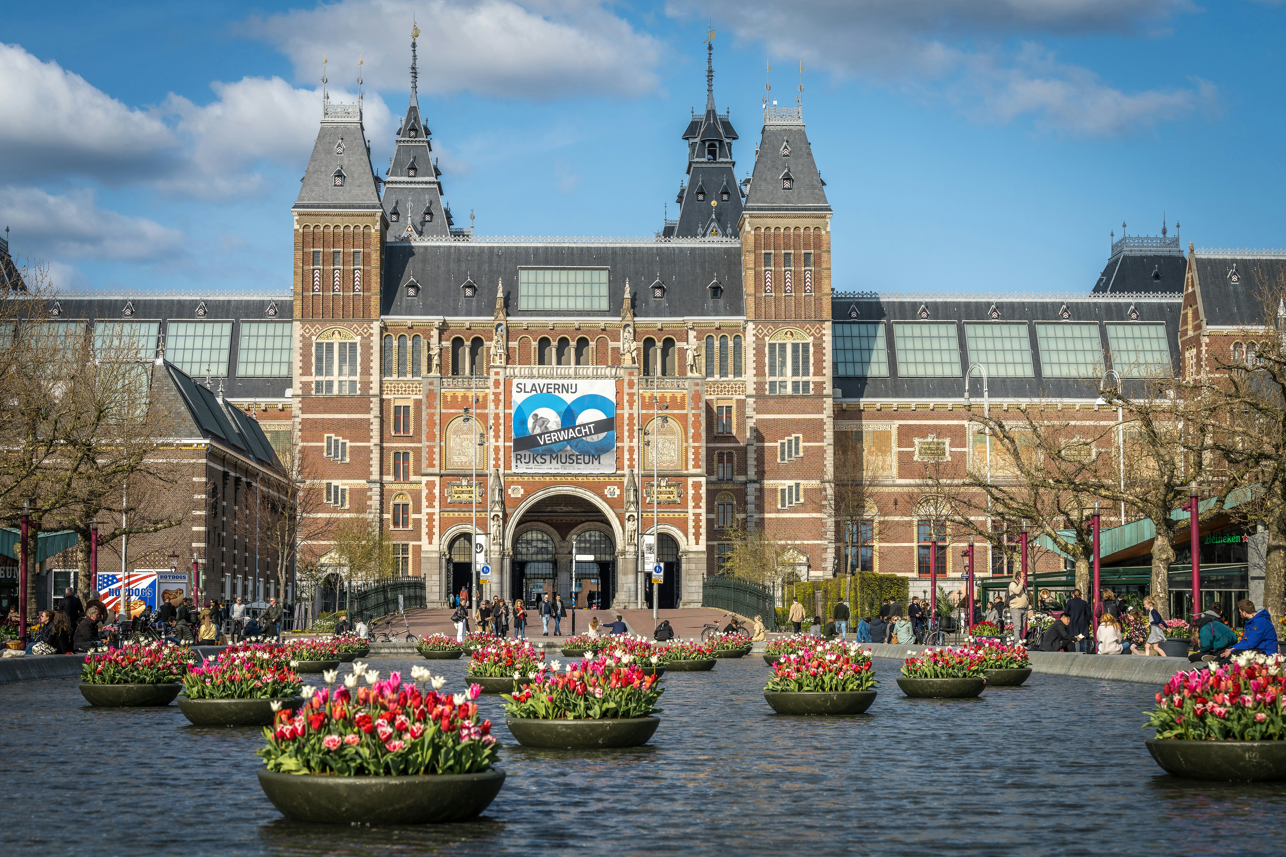 Tulips in front of the Rijksmuseum in Amsterdam during the summer