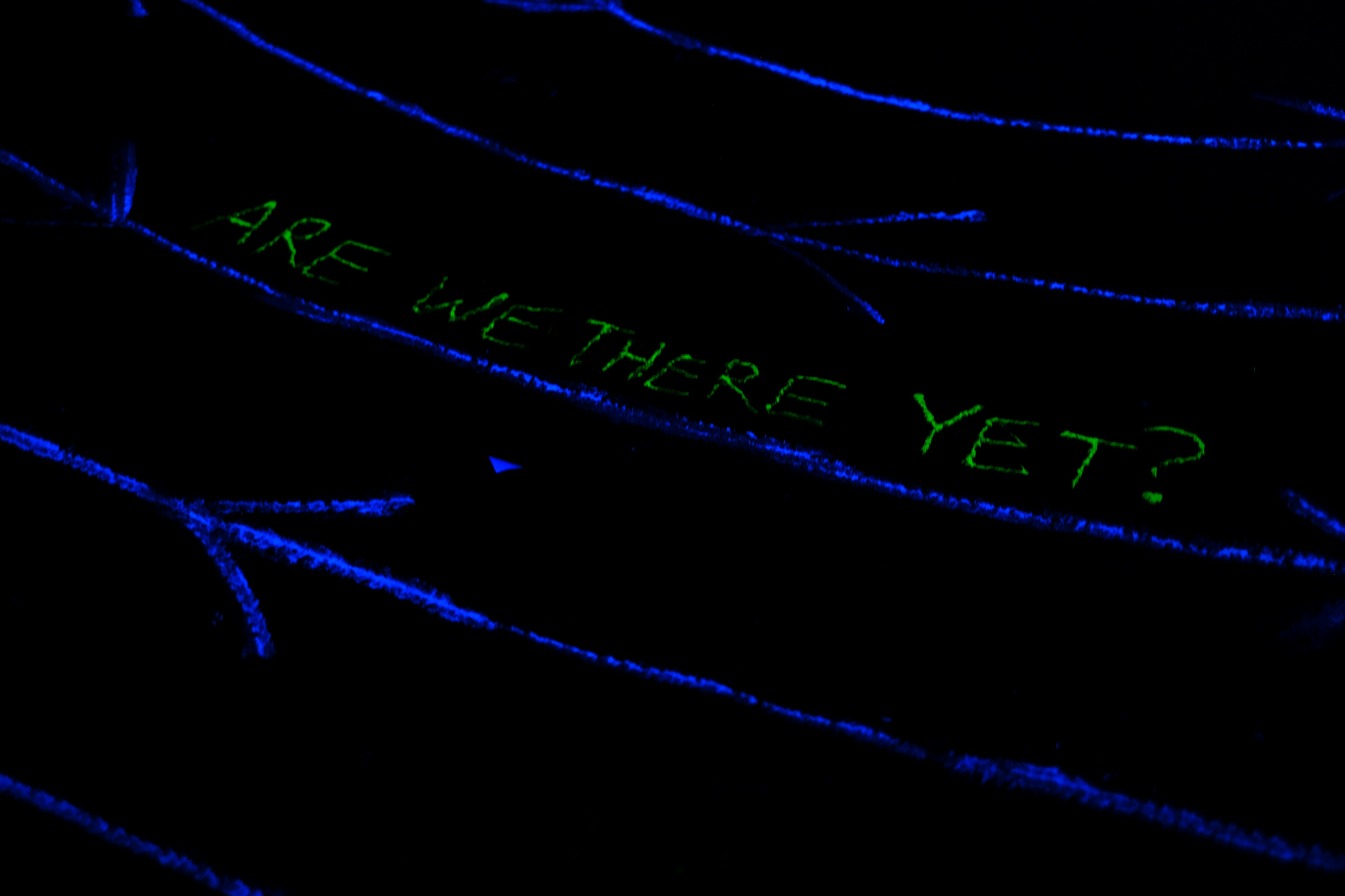 黒い背景と緑の文字の接写