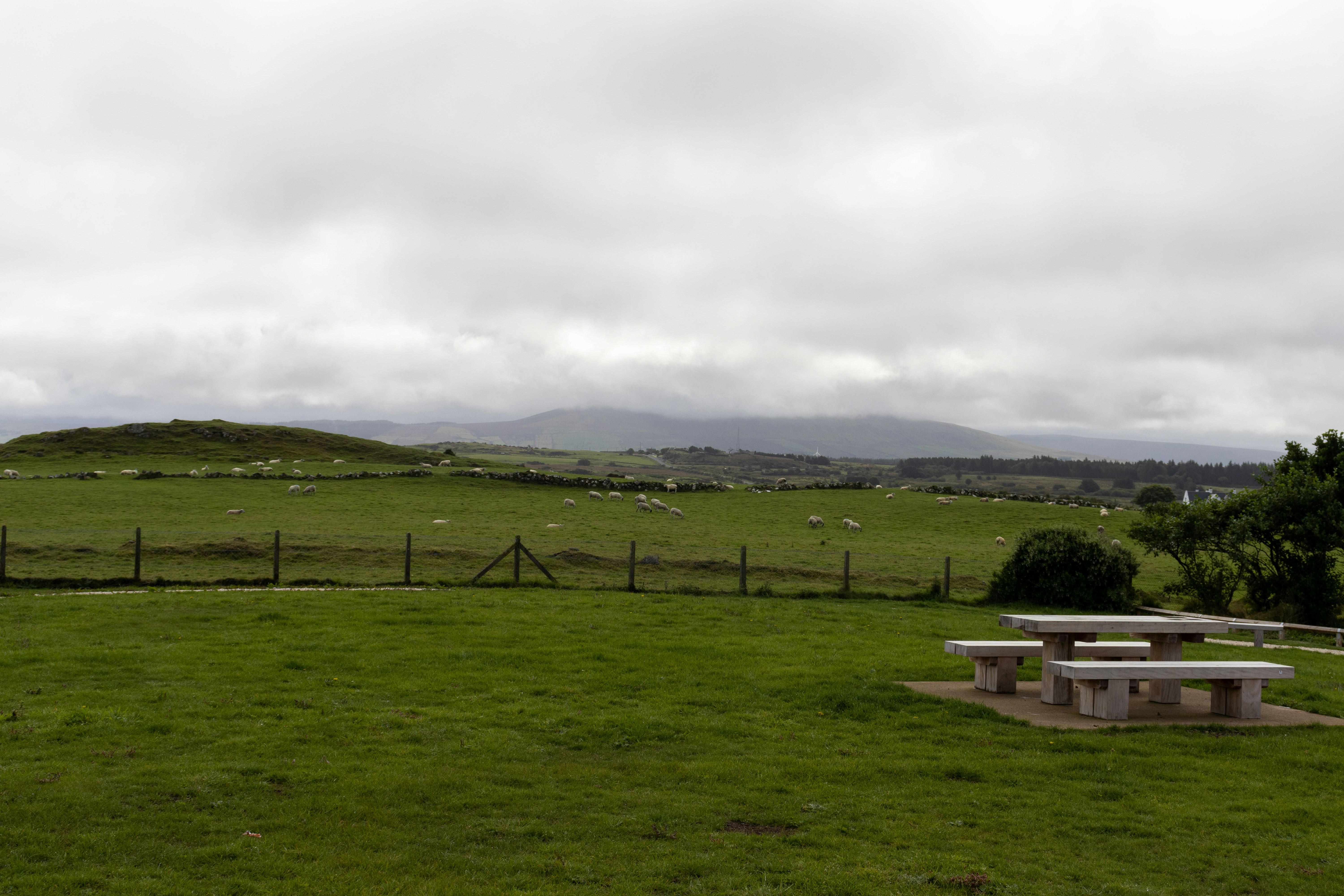 Photo by pokornymichal