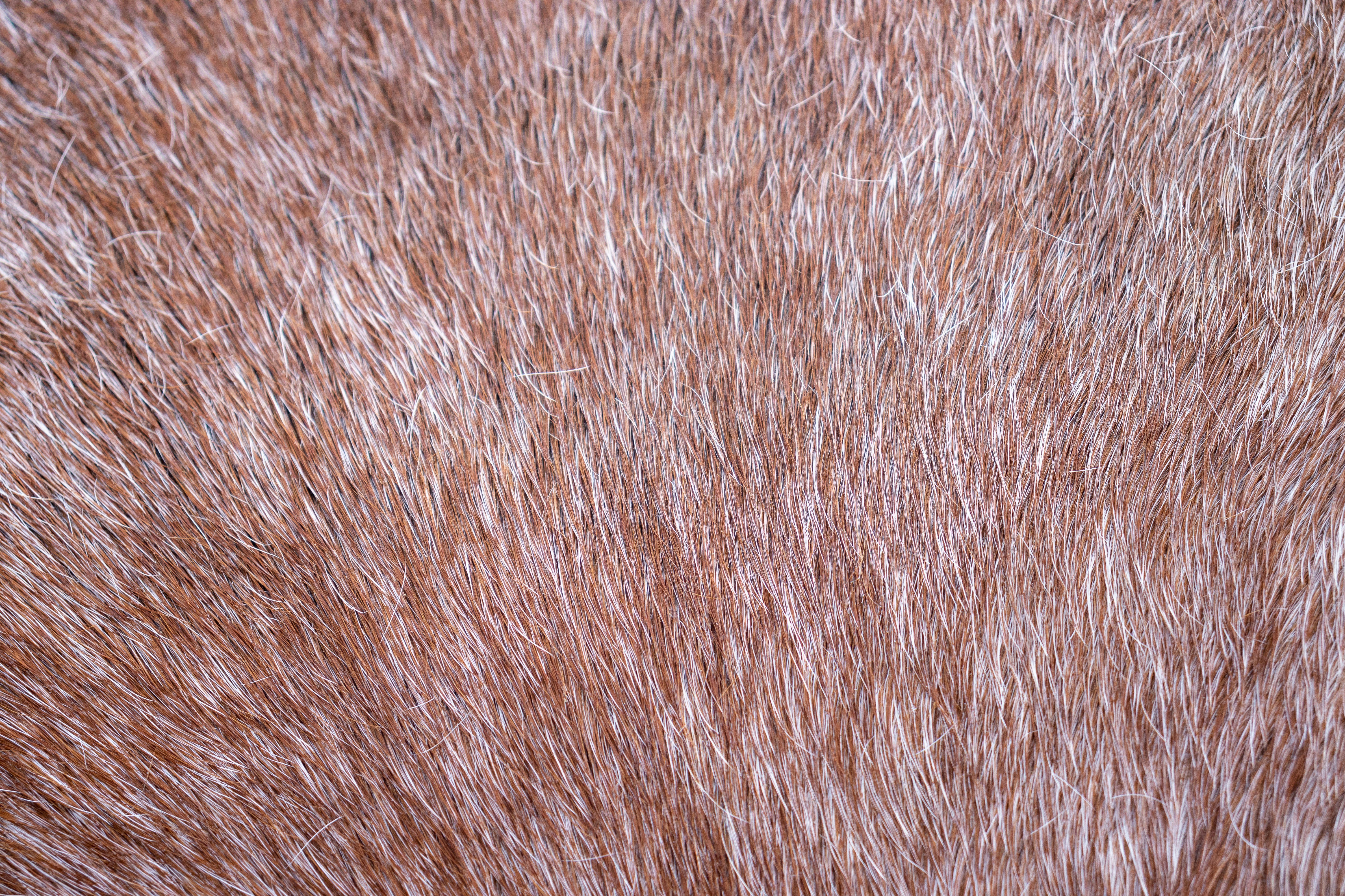 Photo by pokornymichal