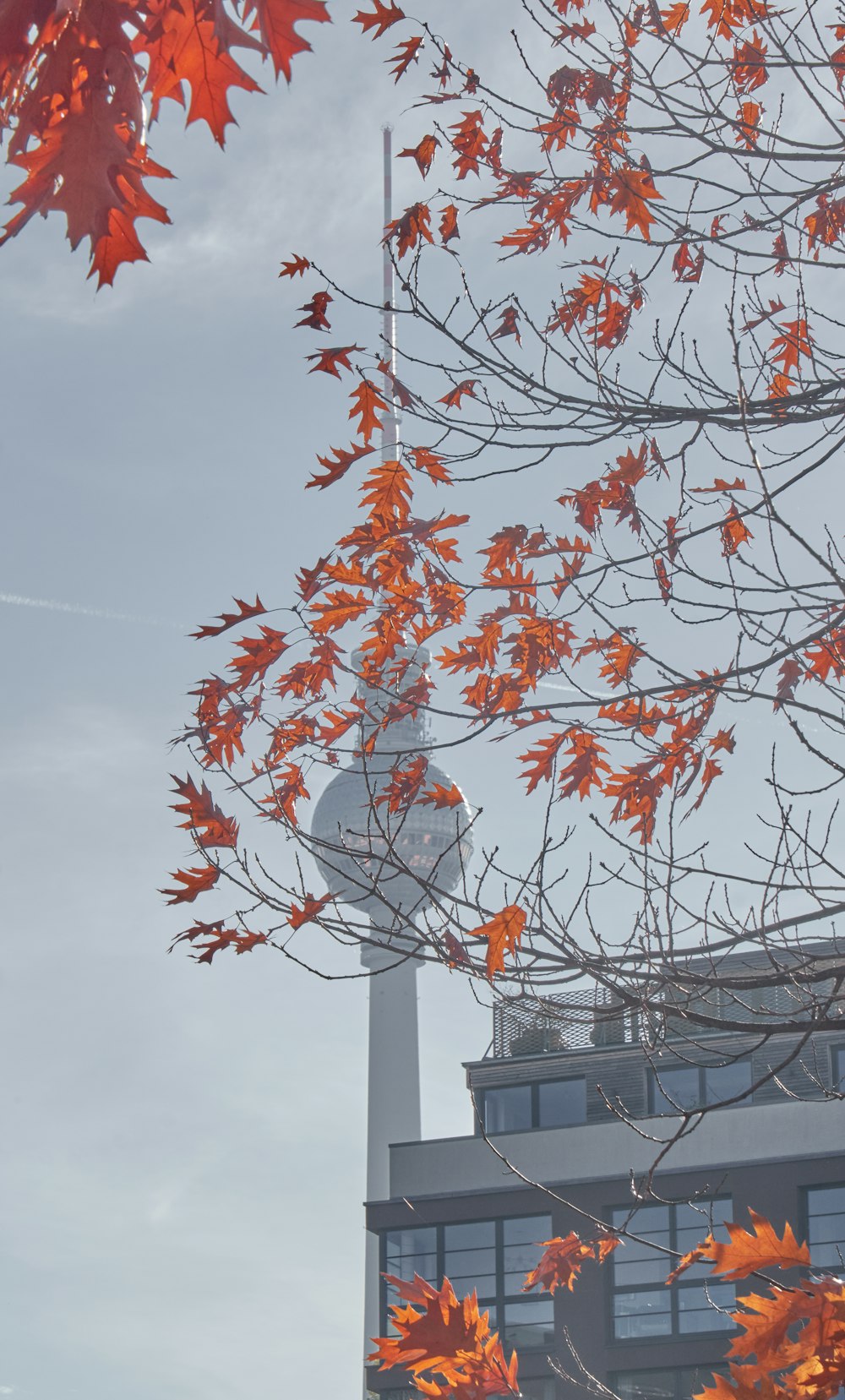 a tall building with a radio tower in the background