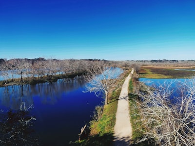 Brazos Bend State Park