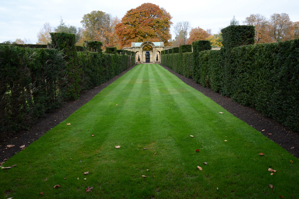 A long, formally maintained lawn with hedges leading to a building