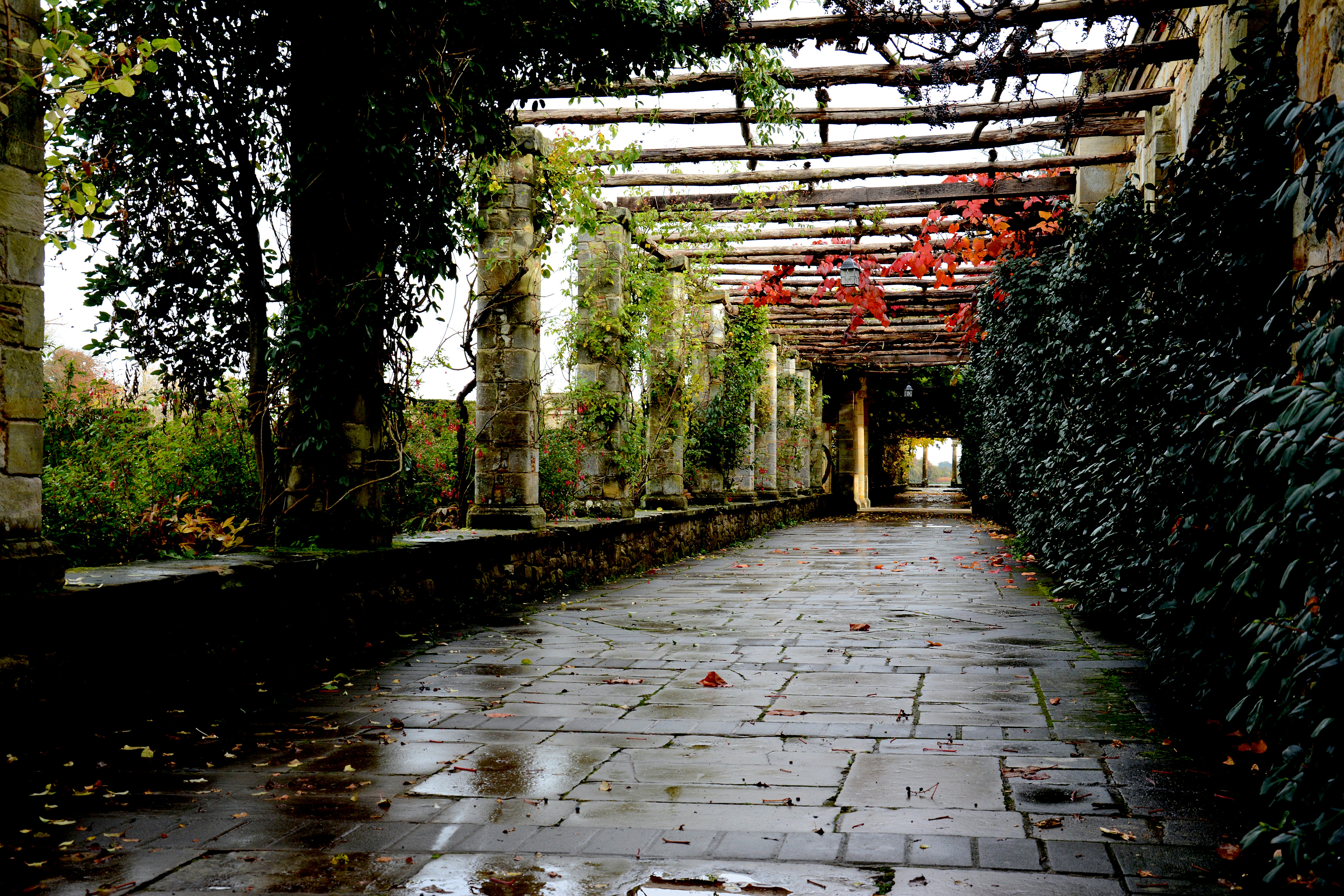 Comment aménager sa véranda de 20m2 ?