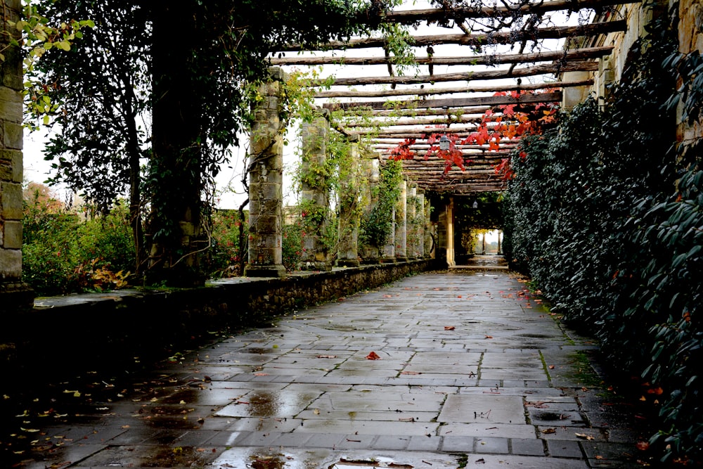 a stone walkway with a pergolated arbor and red flowers